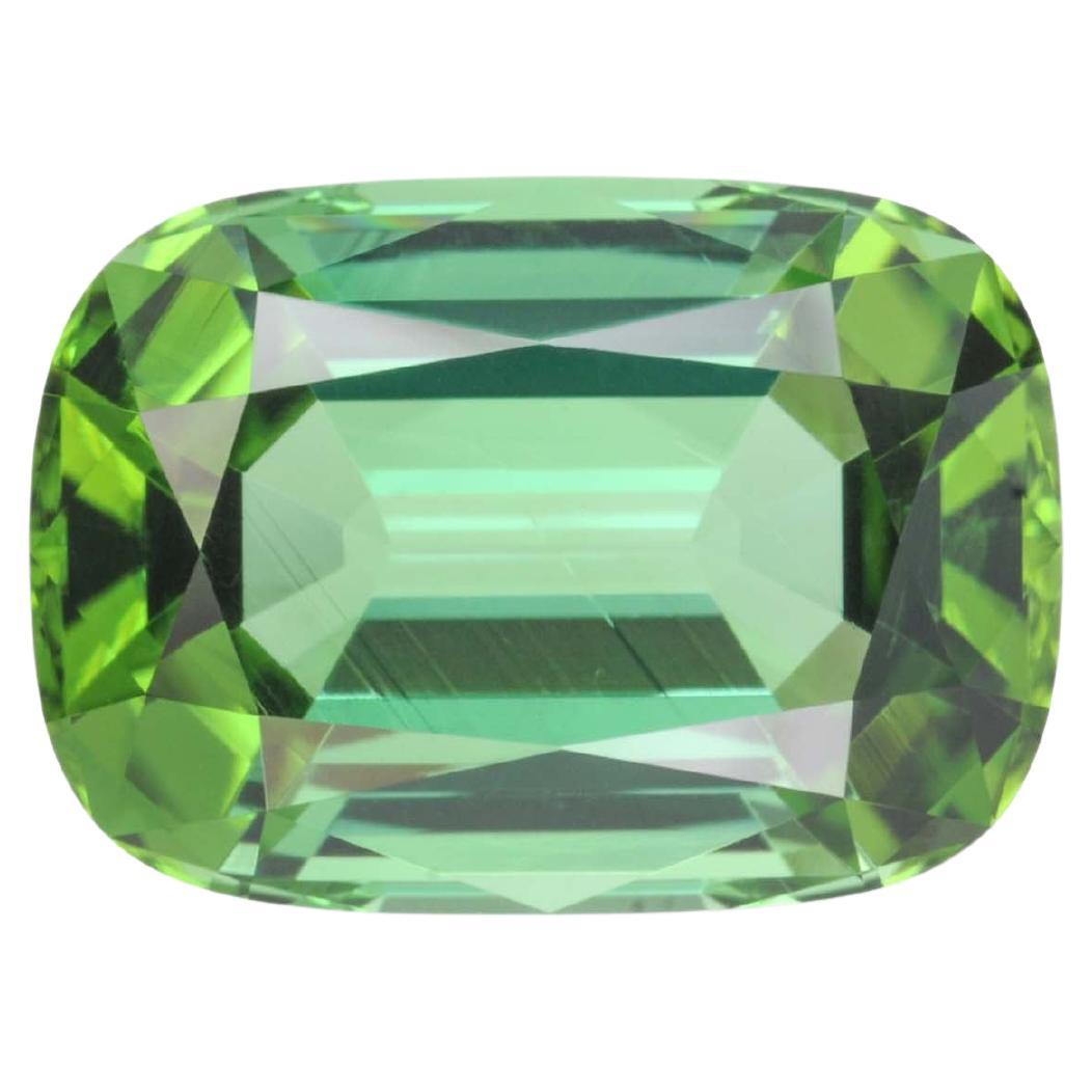 Glamorous 10.64 carat Green Tourmaline rectangular cushion gem, offered loose to a world-class gemstone lover.
Dimensions: 15.70 x 11.20 x 7.80 mm.
Returns are accepted and paid by us within 7 days of delivery.
We offer supreme custom jewelry work