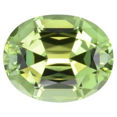 Mint Green Tourmaline Ring Gem 7.84 Carat Oval Loose Gemstone Loupe Clean
