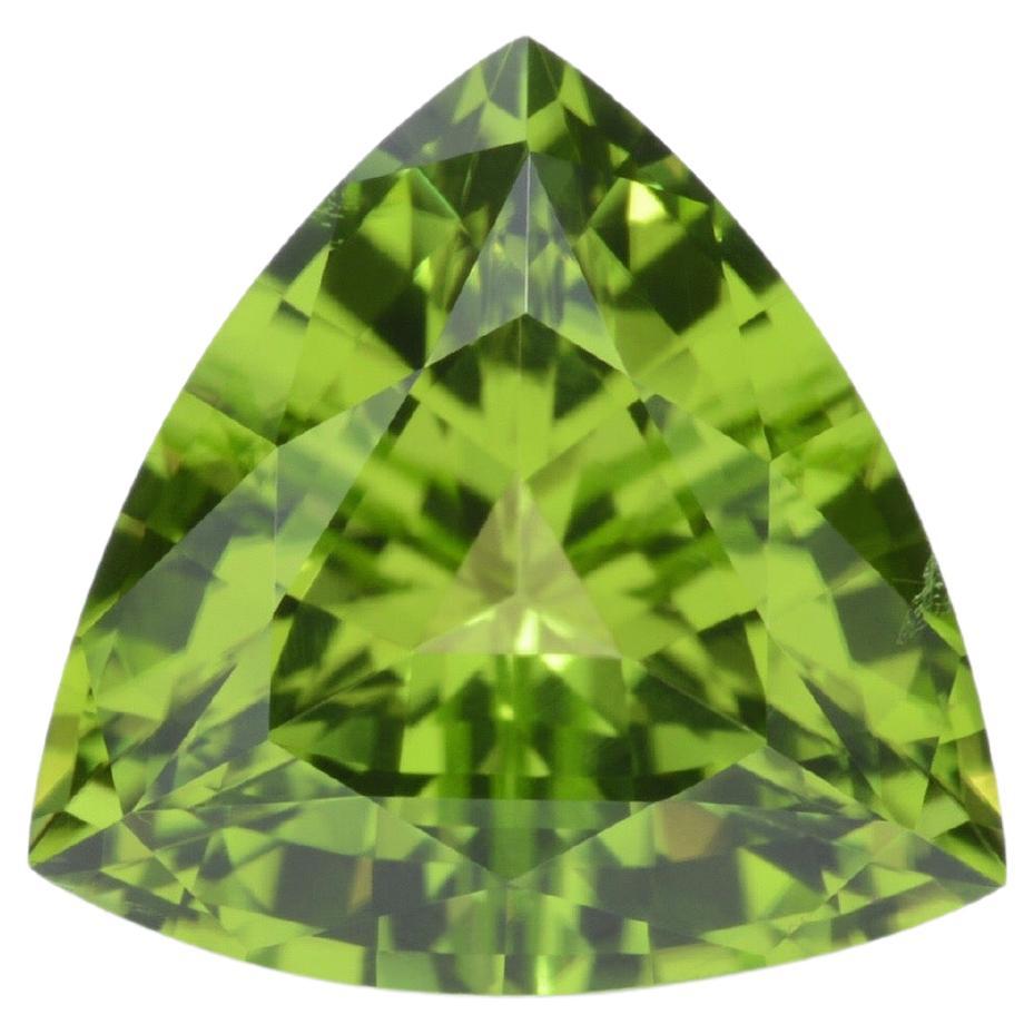 Splendid 4.06 carat Peridot Trillion gem, offered loose to a gem lover.
Peridot dimensions: 10.60mm x 10.60mm x 6.30mm.
Returns are accepted and paid by us within 7 days of delivery.
We offer supreme custom jewelry work upon request. Please contact
