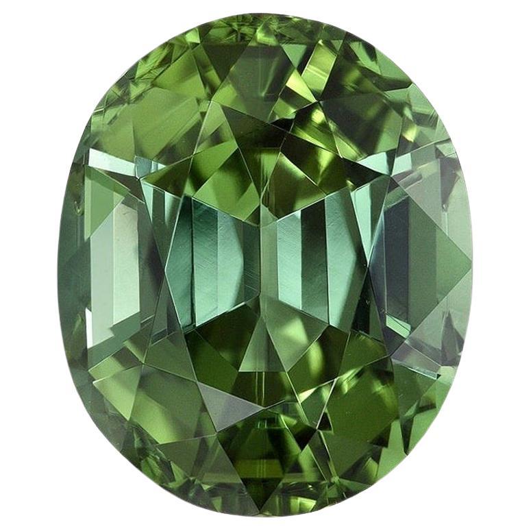 Bague en tourmaline verte non sertie de 5,49 carats, pierre précieuse taille ovale en vente