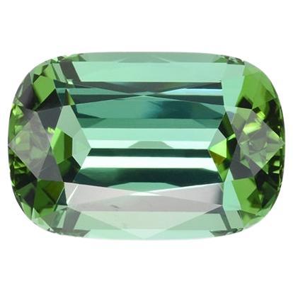 Green Tourmaline Ring Gem 25.83 Carat Cushion Loose Gemstone