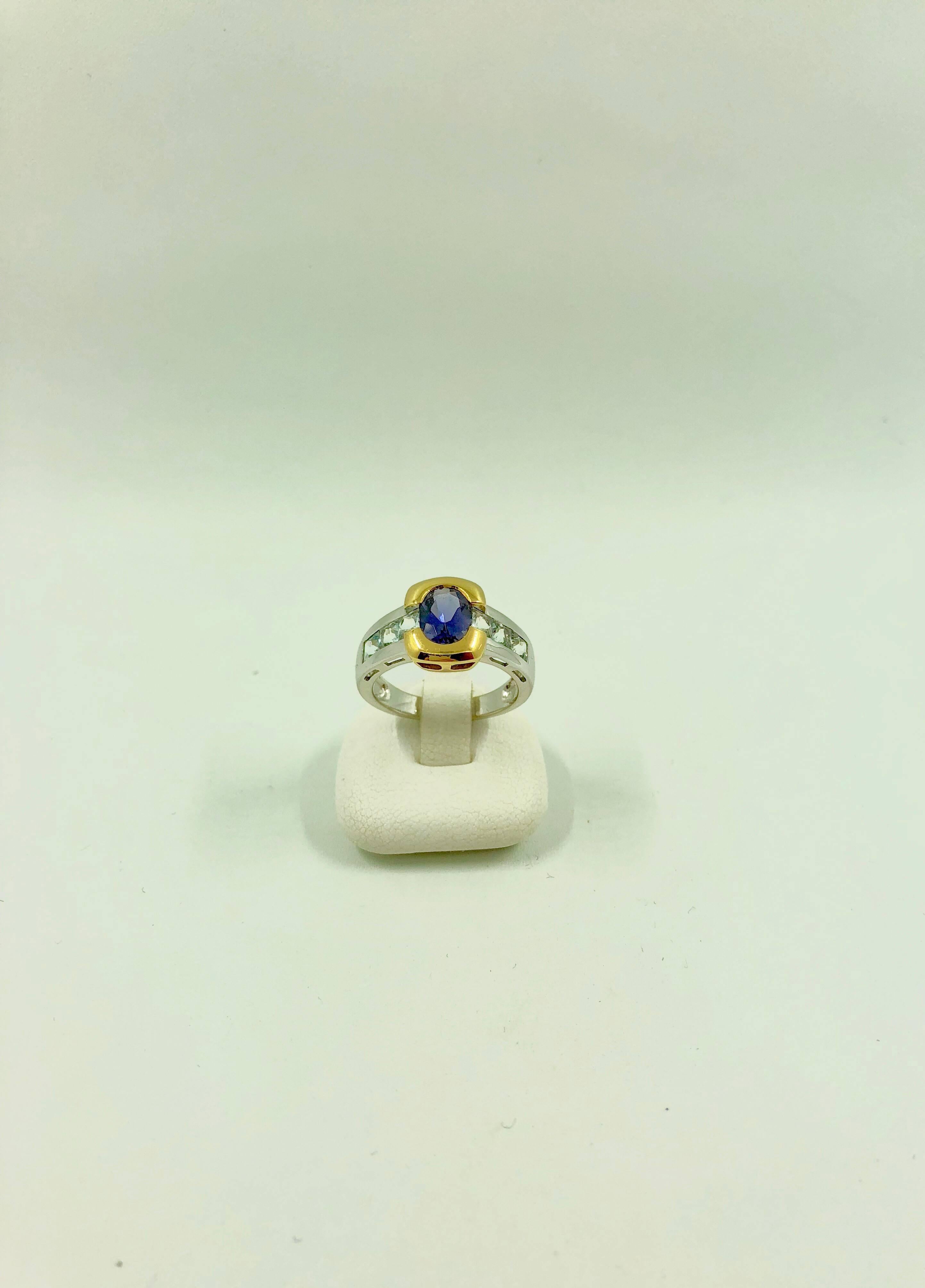 A white and gold ring set in the middle with an Iolite surrounded by 3 princess cut Aquamarine on each side.
Net Weight: 5.40 grams
Finger Size: 6