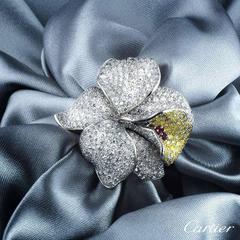 Cartier Caresse D'Orchidees Ruby Diamond Platinum Ring