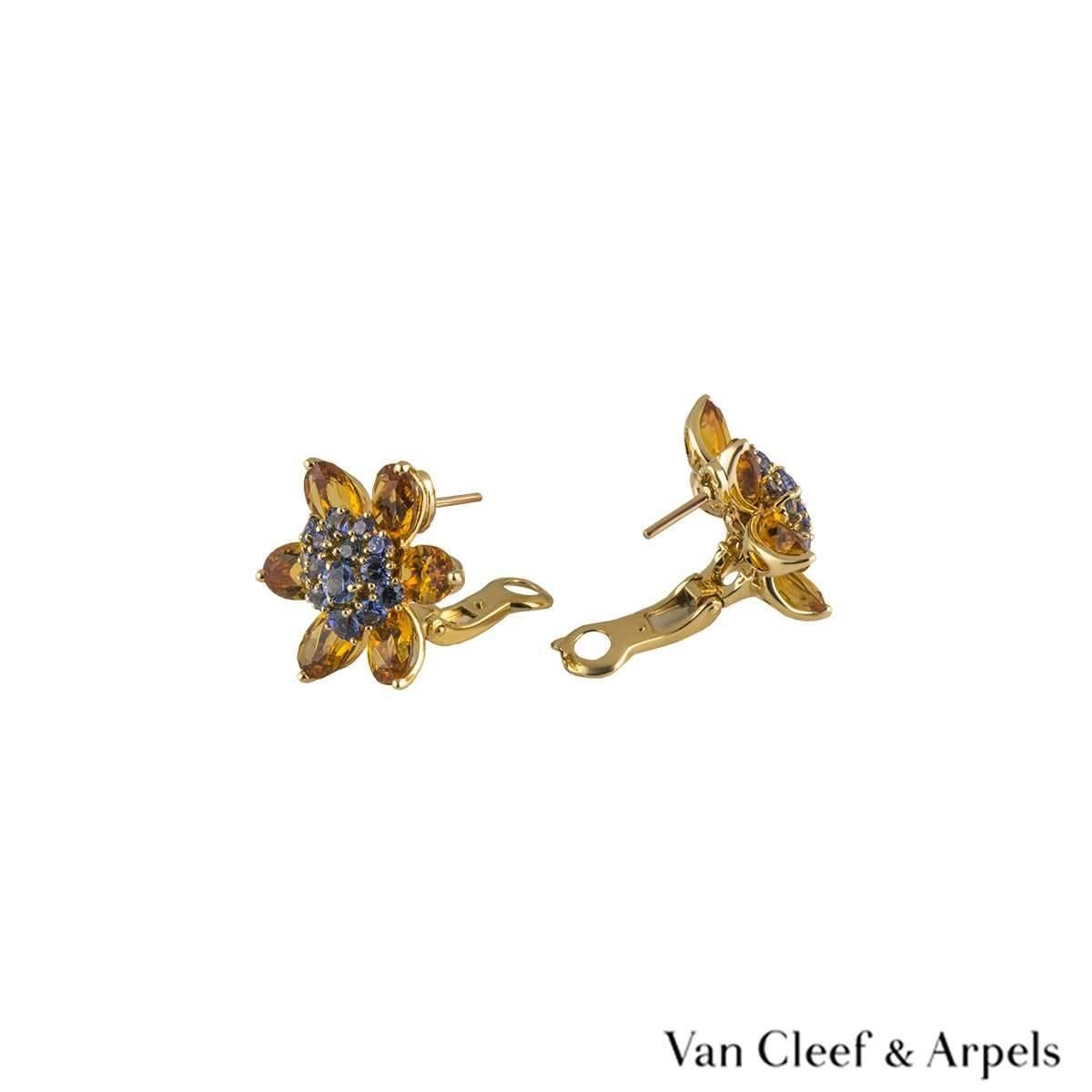 A pair of 18k yellow gold earrings from the Hawaii collection by Van Cleef & Arpels. The earrings are set to the centre with 16 graduating round blue sapphires in a pave setting totalling approximately 1.34ct, complemented by 6 oval shape