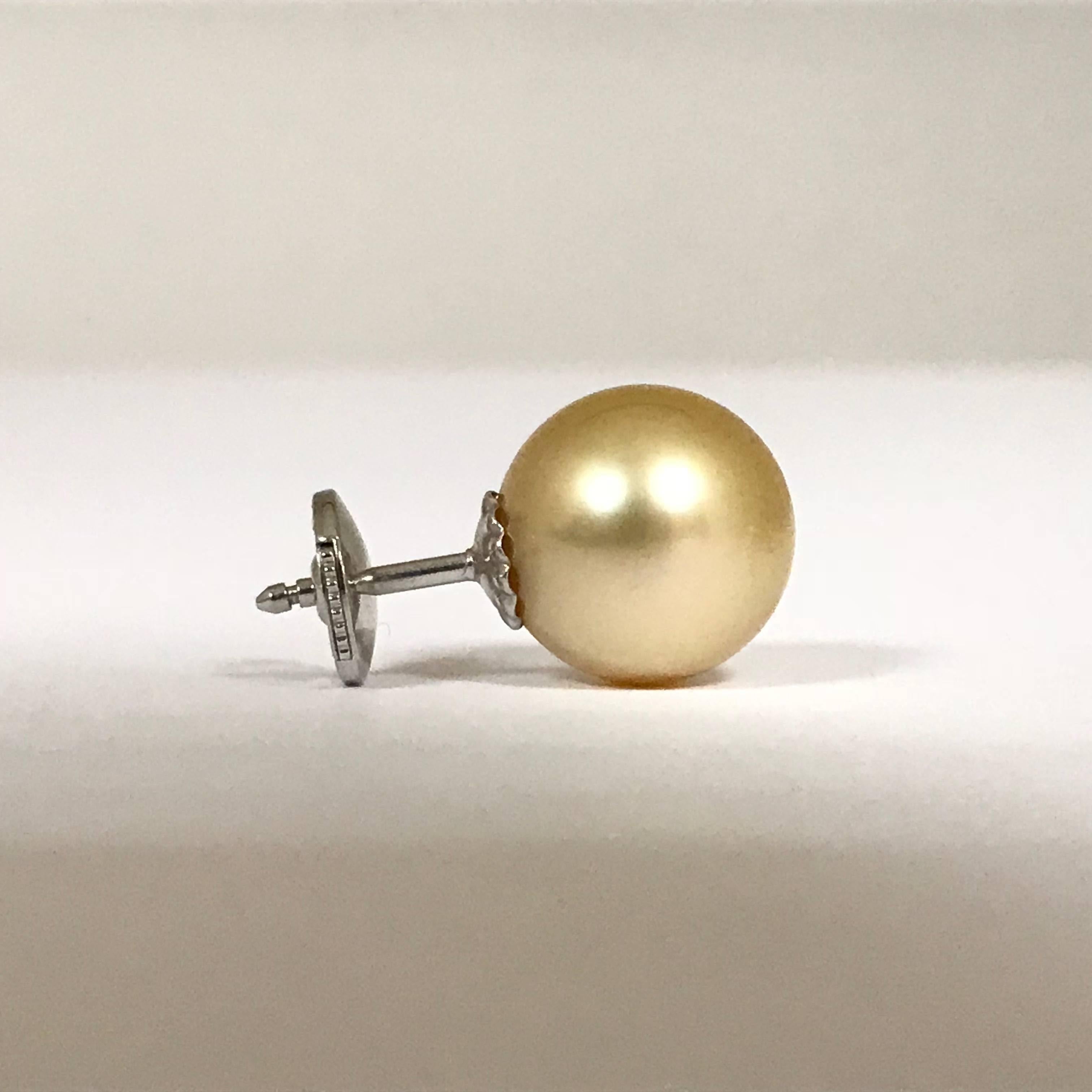 Discover this Champagne Cultured Pearl and White Gold Earrings.
Champagne Cultured Pearl 10.5/11
White Gold 18 Carat