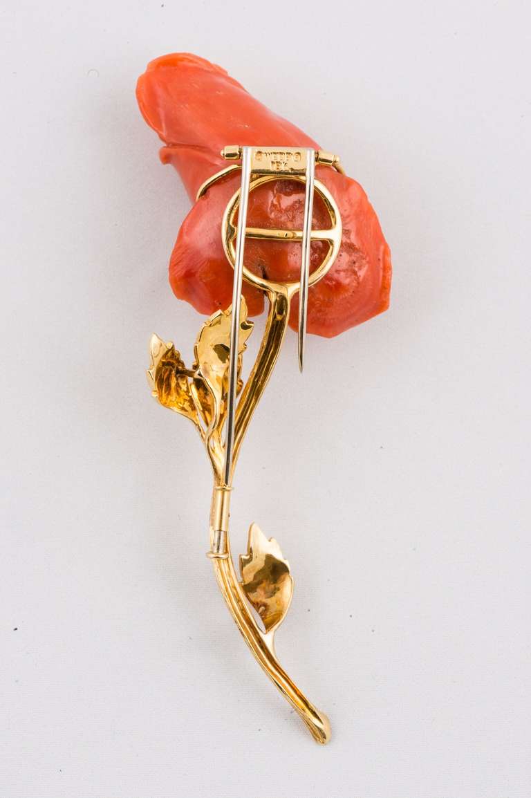 Women's David Webb  Yellow Gold Carved Coral Rose Pin