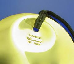 Tiffany & Co. Elsa Peretti Yellow Gold Round Pendant and Earrings