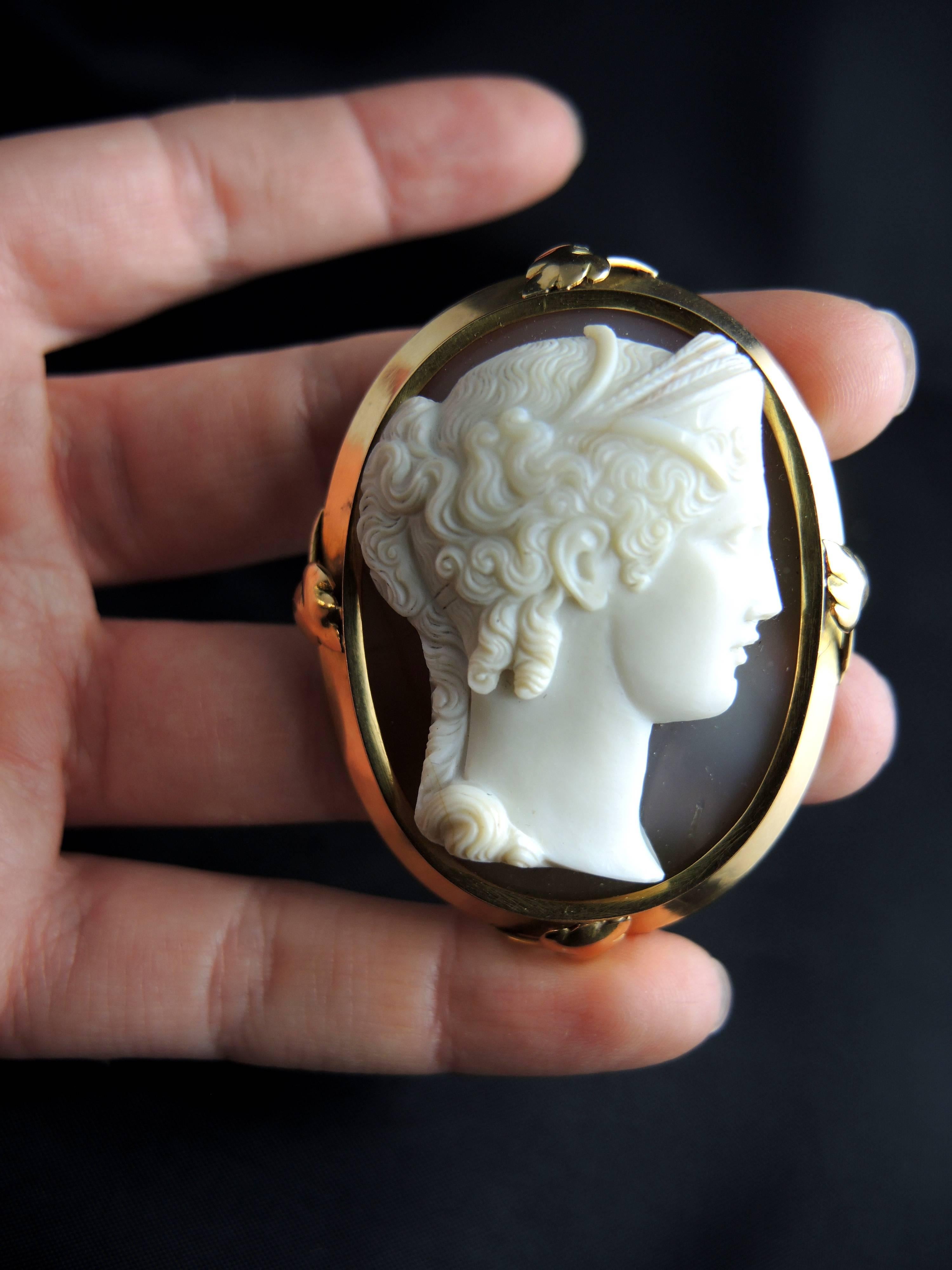 French Antique Agate Cameo Brooch And Pendant 3