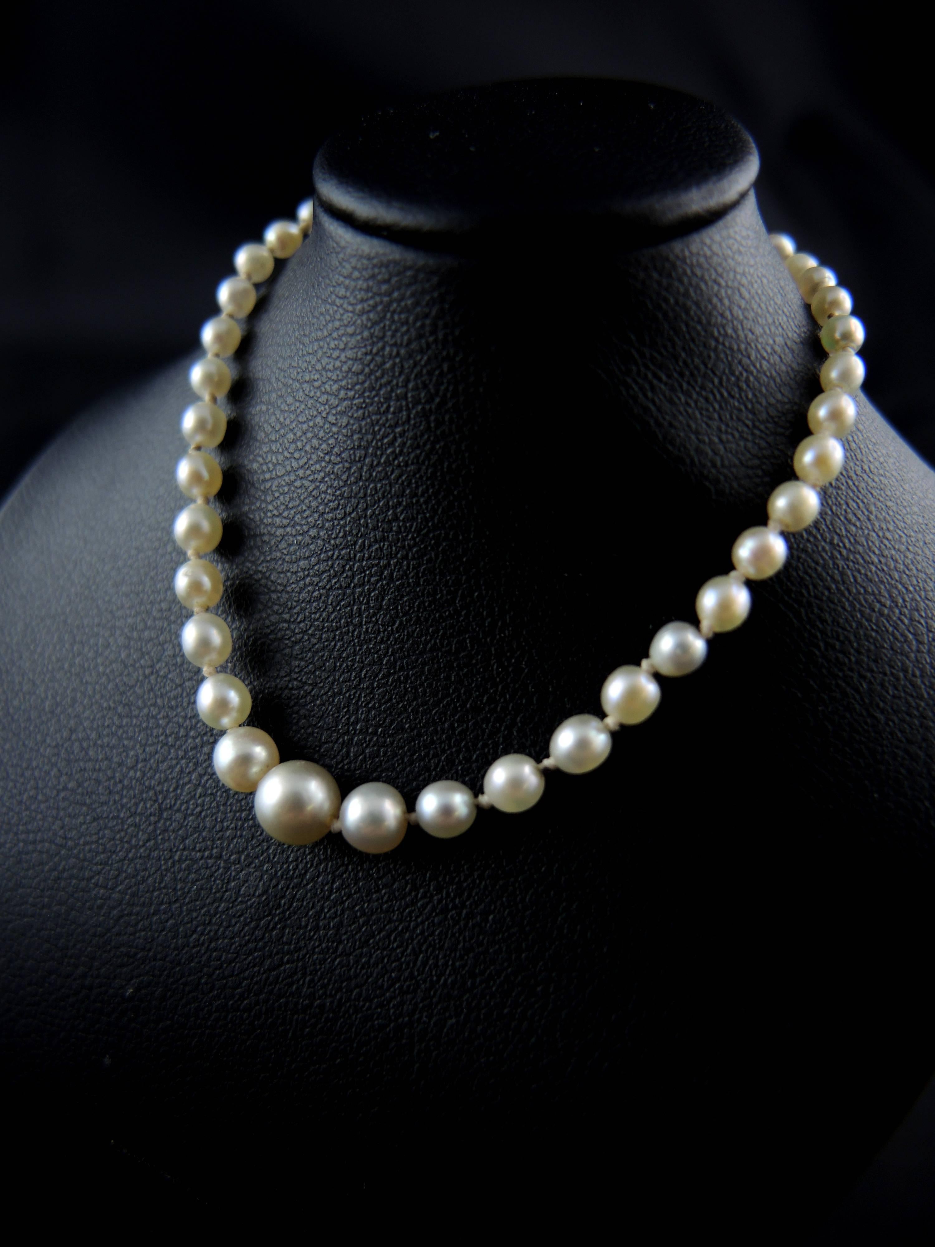 Antique Art Deco necklace set with one rank of natural pearls.
Sold with a LFG laboratory certificate (all pearls are natural exept one which is cultured).

Clasp and safety chaine made of gold.

Circa 1920.

weight: 4.79 g
Length of the ranks: