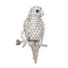 E. Wolfe Diamond White Gold Parrot Brooch