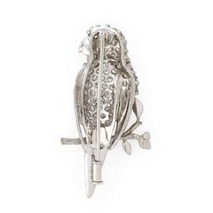 E. Wolfe Diamond White Gold Parrot Brooch