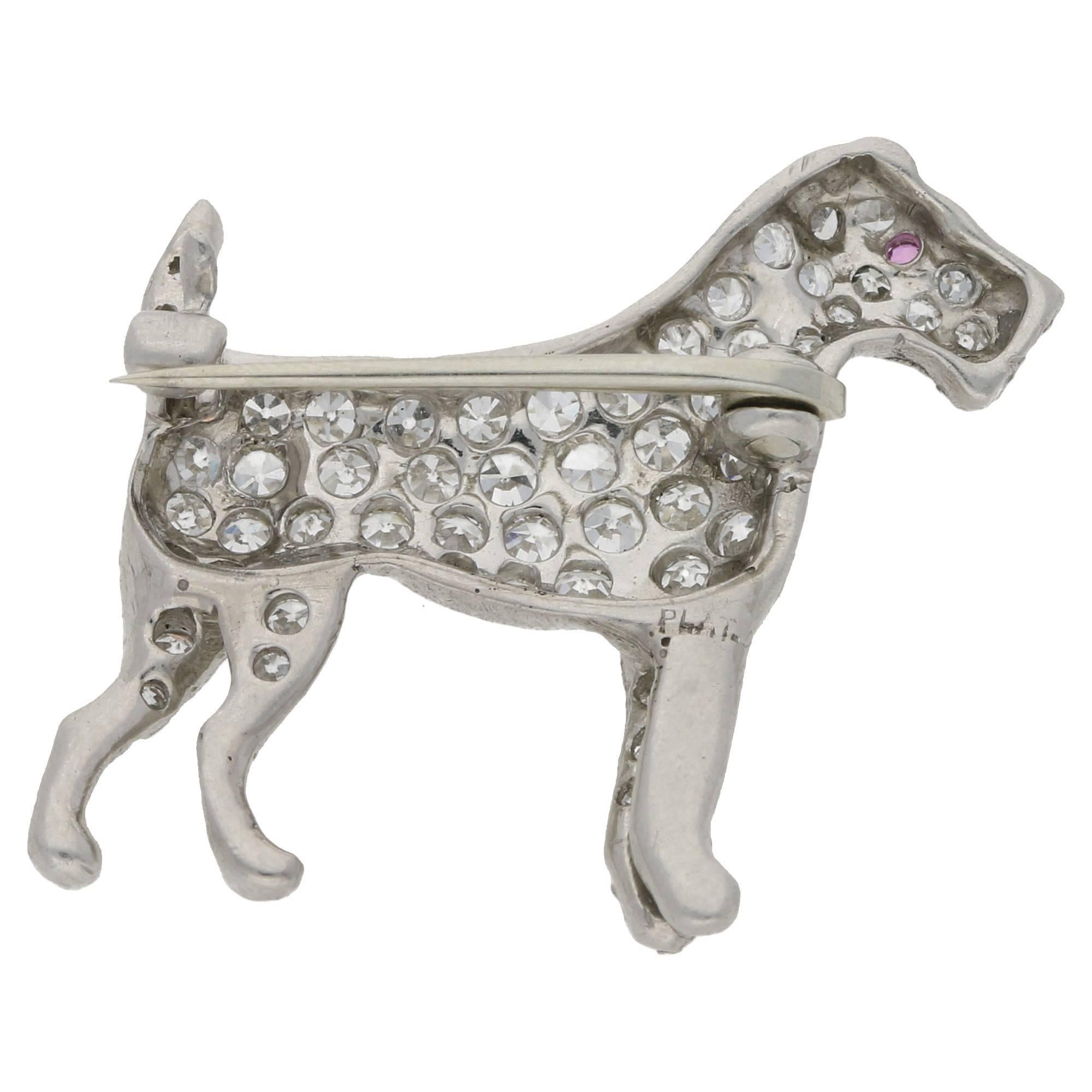 A delightful Edwardian diamond set fox terrier platinum dog brooch. With a vibrant ruby eye set amidst a pave of eight-cut diamonds, with a hidden bar brooch fitting. Estimated total diamond weight: 0.66cts. Assessed diamond colour: H. Assessed