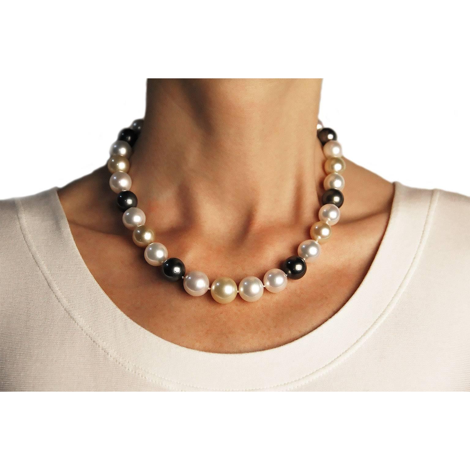 Eighteen inch long necklace consisting of thirty three, 0.45 - 0.55 in.(11.5-14.1mm ), white, gold and black South Sea pearls, the pearls are strung with an invisible clasps .

Pearl Quality: AA
Pearl Luster: AA
The Origin of the pearls are: