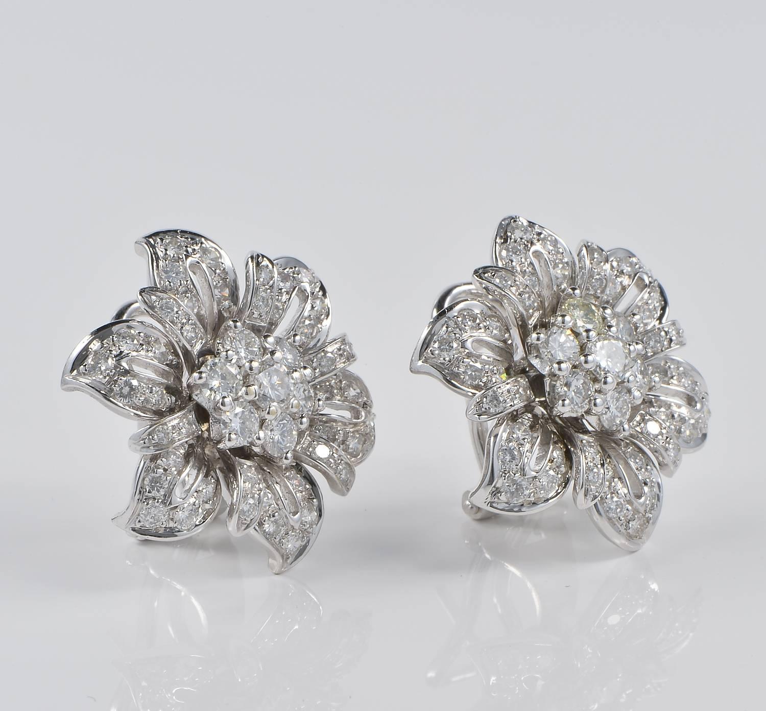 Terrific in design and high quality Diamonds. Vintage pair of earrings superior in all.
An amazing flower of multidimensional design overwhelmed by best Diamond sparkle.
What best to have on ears. Holding 2.34 Ct of Diamonds on them G