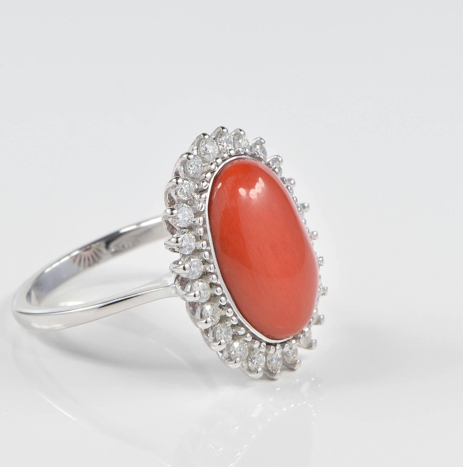The beauty of coral has fascinated mankind since early times.
This is a stunning Natural un-treated Oxblood cabochon ring with diamond surround.
The intensity of the colour and the perfect polishing of this blemish free coral is to leave