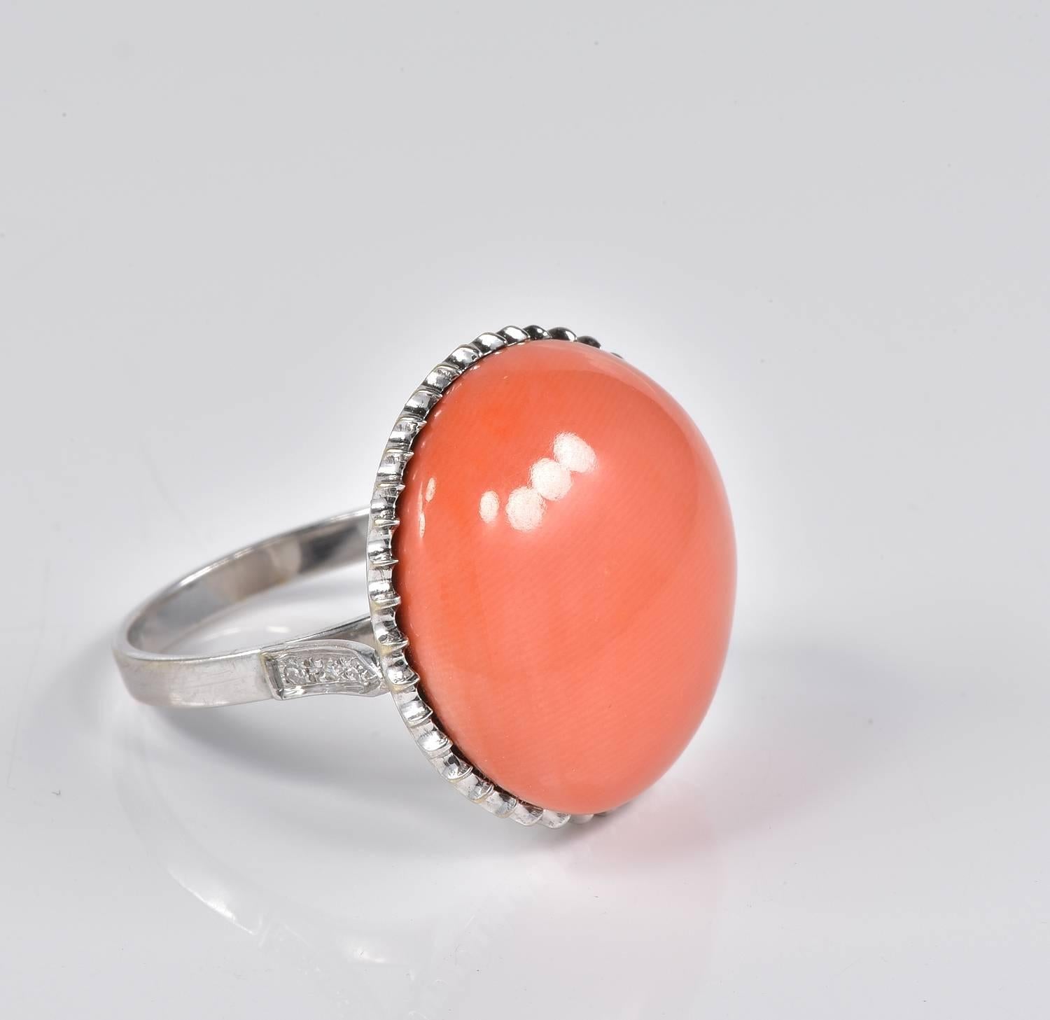 This absolutely beautiful vintage ring is set with a fine quality Natural untreated Coral of pleasing Salmon colour.
Coral is and oversized and finely polished, blemish free qulaity measuring 21 mm. in diameter.
Chic design centrally set as