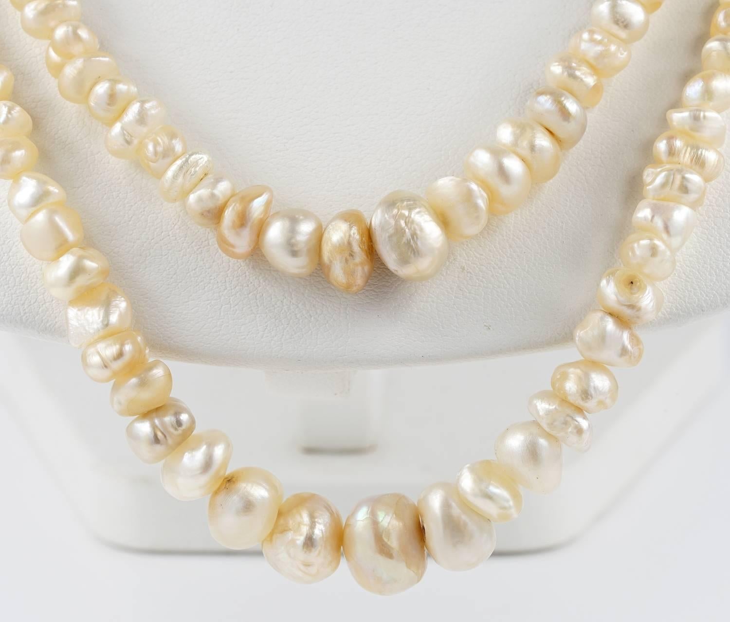 persian gulf pearls price
