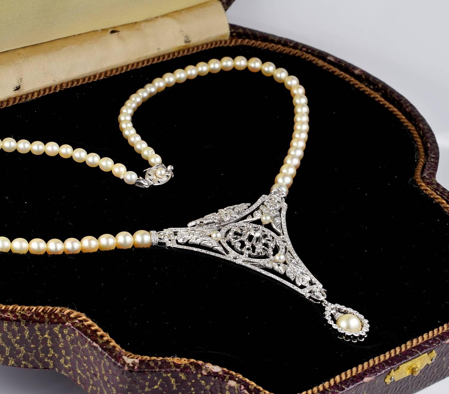 Old European Cut Eare Boxed 7.0 Carat Diamond Pearl Rare Necklace For Sale
