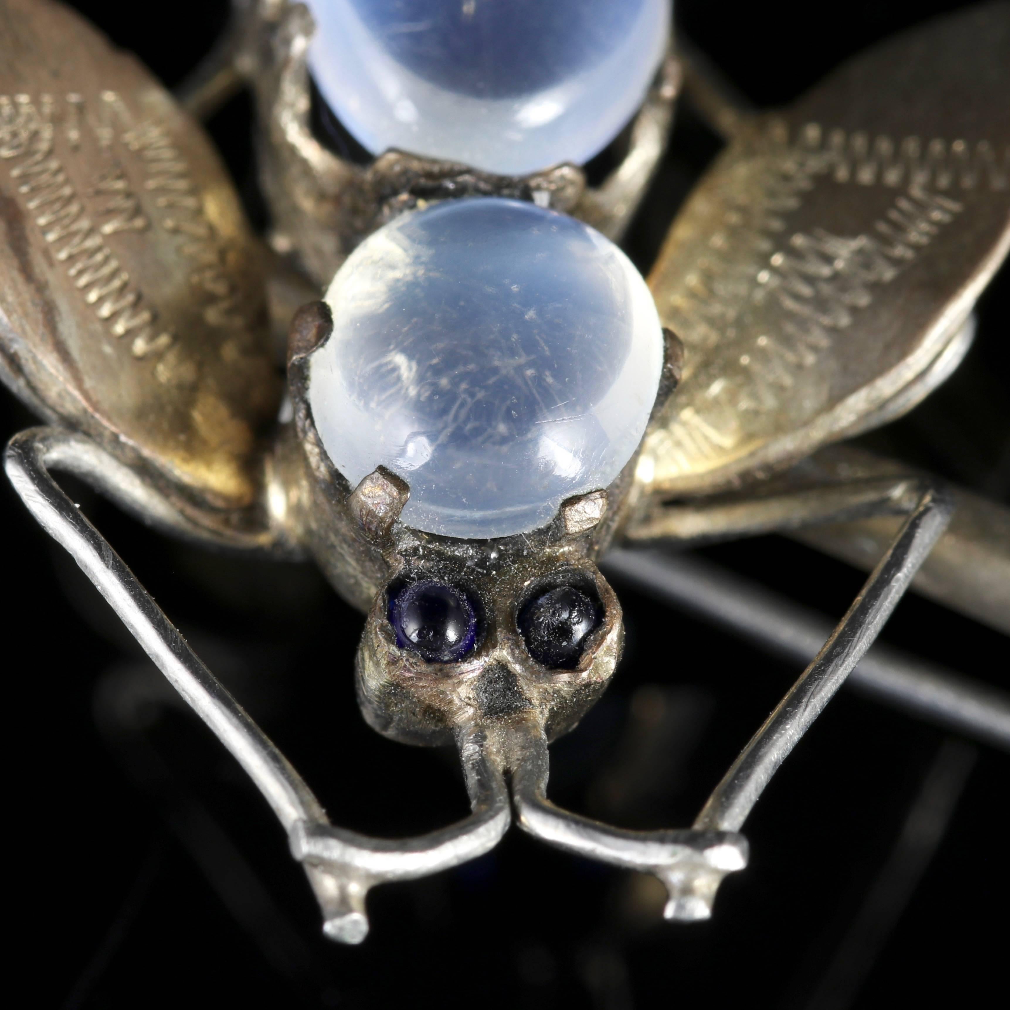 This fabulous Sterling Silver Insect Brooch is adorned with beautiful Moonstones and Cabochon Sapphires. 

All genuine Victorian, circa 1900. 

The Sterling Silver Insect has lovely all round engraving with two pale blue Moonstones on it’s back.