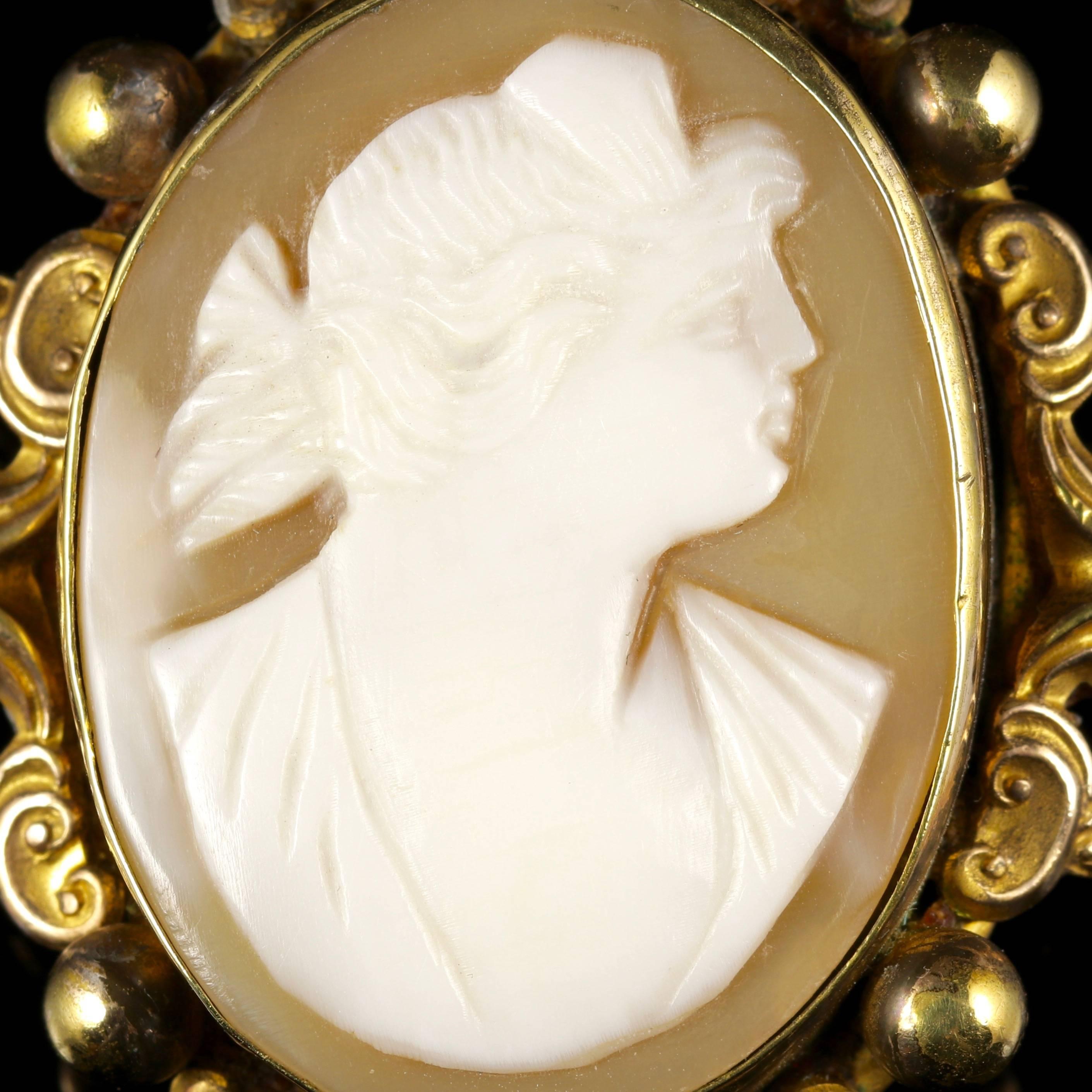 This fabulous Victorian Base Metal brooch is made of hand carved Bullmouth Shell.

The fabulous Cameo is carved superbly and executed with high relief workmanship, depicting a lovely profile of a lady.

The fabulous Bullmouth Shell has been popular