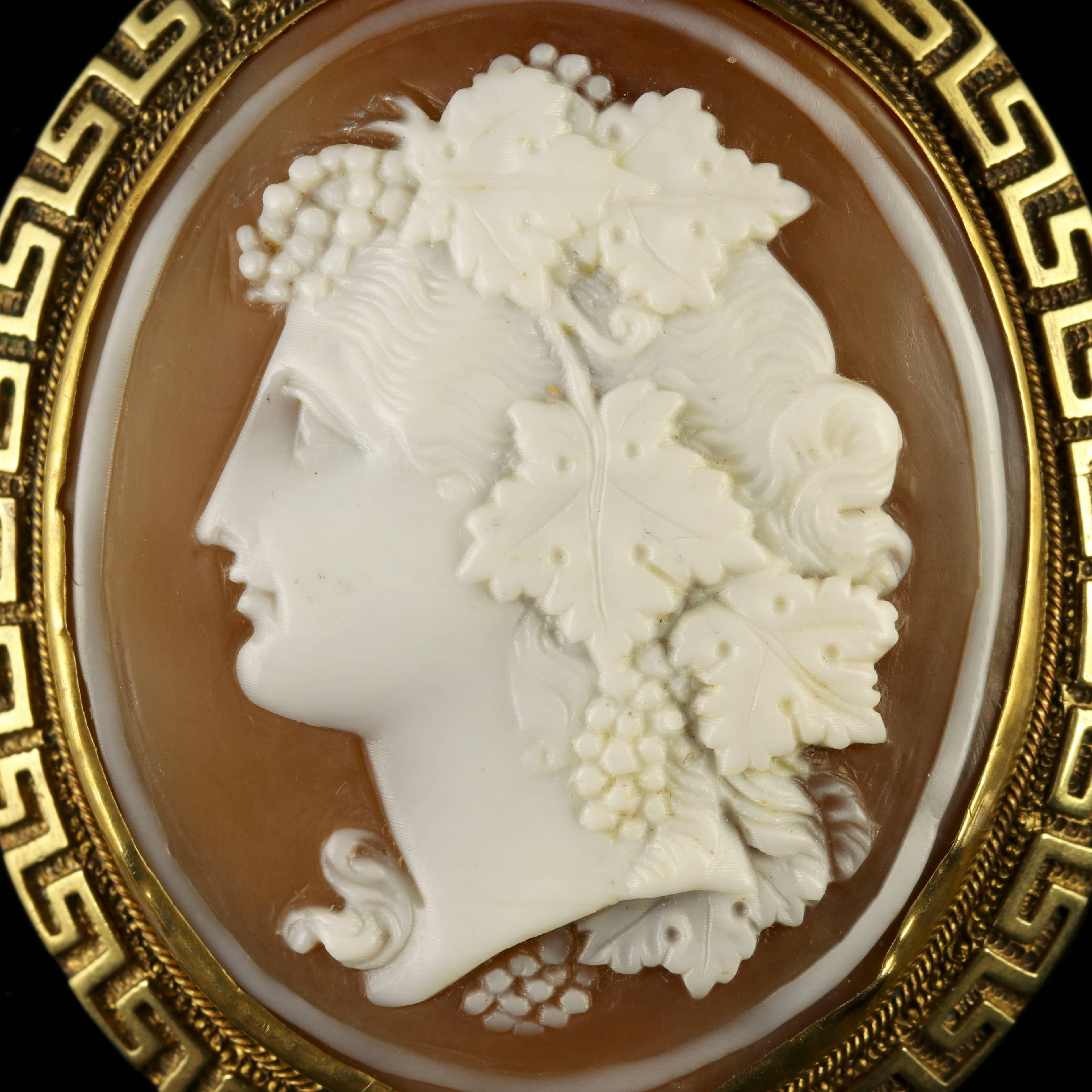 This fabulous antique Victorian hand carved Cameo brooch depicts a fine profile of a lady.

Genuine Victorian, Circa 1860.

Fruit is displayed in the hair of the lady, it is very well executed with a high relief texture from Bull Mouth Shell - Cameo