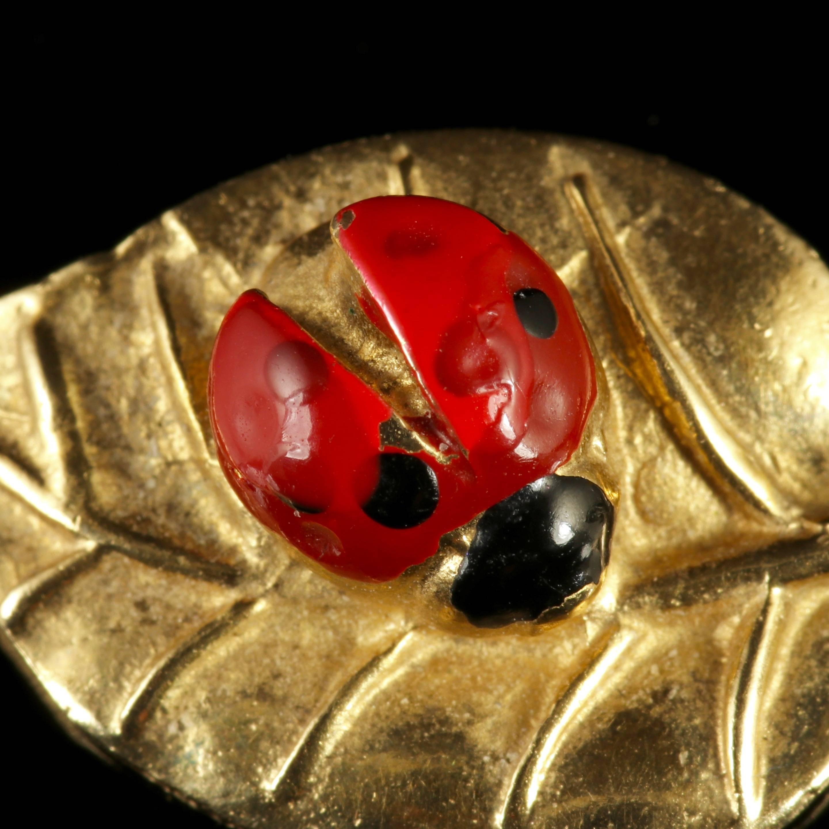 This fabulous antique Victorian Yellow Gold leaf pendant is adorned with a pretty lady bird.

The small lady bird is perched on the leaf with his wings separated as if he could fly off at any moment. 

Deep red Enamelling with black polka dots on