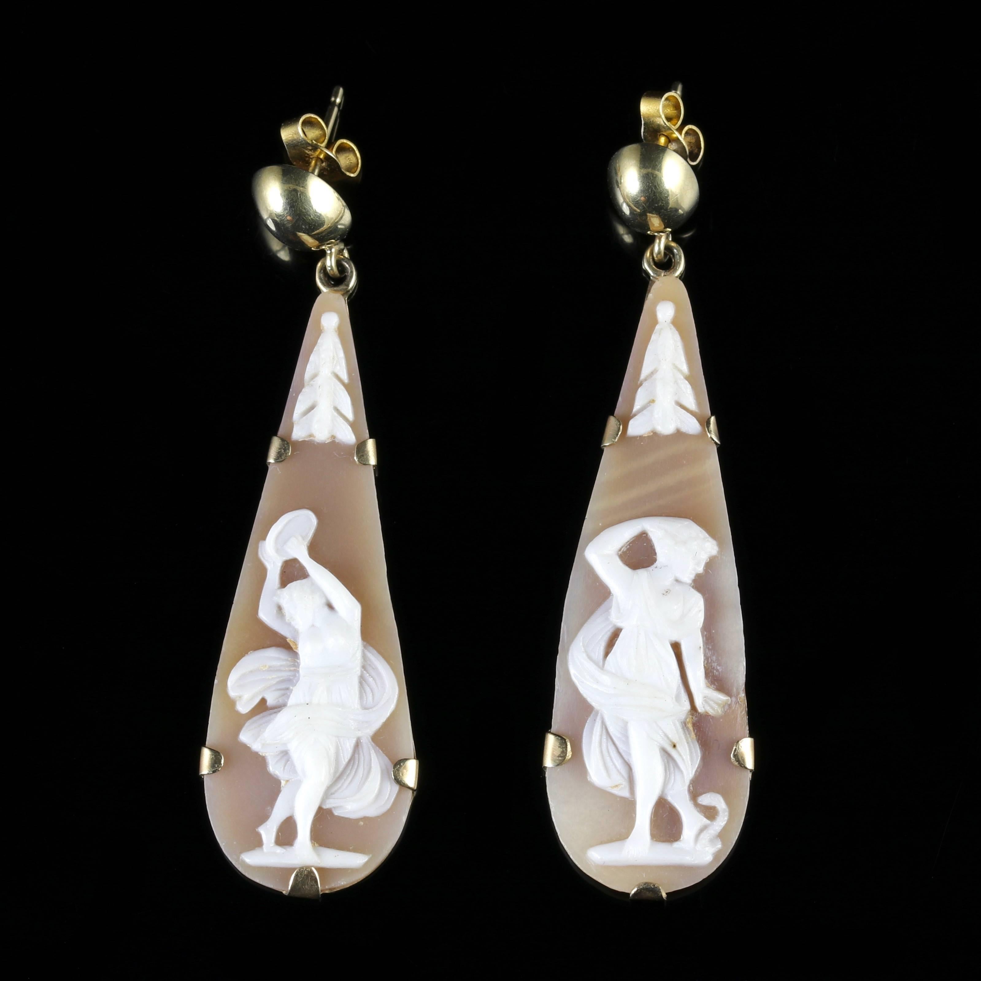 Antique Victorian Cameo Gold Earrings, circa 1900 5