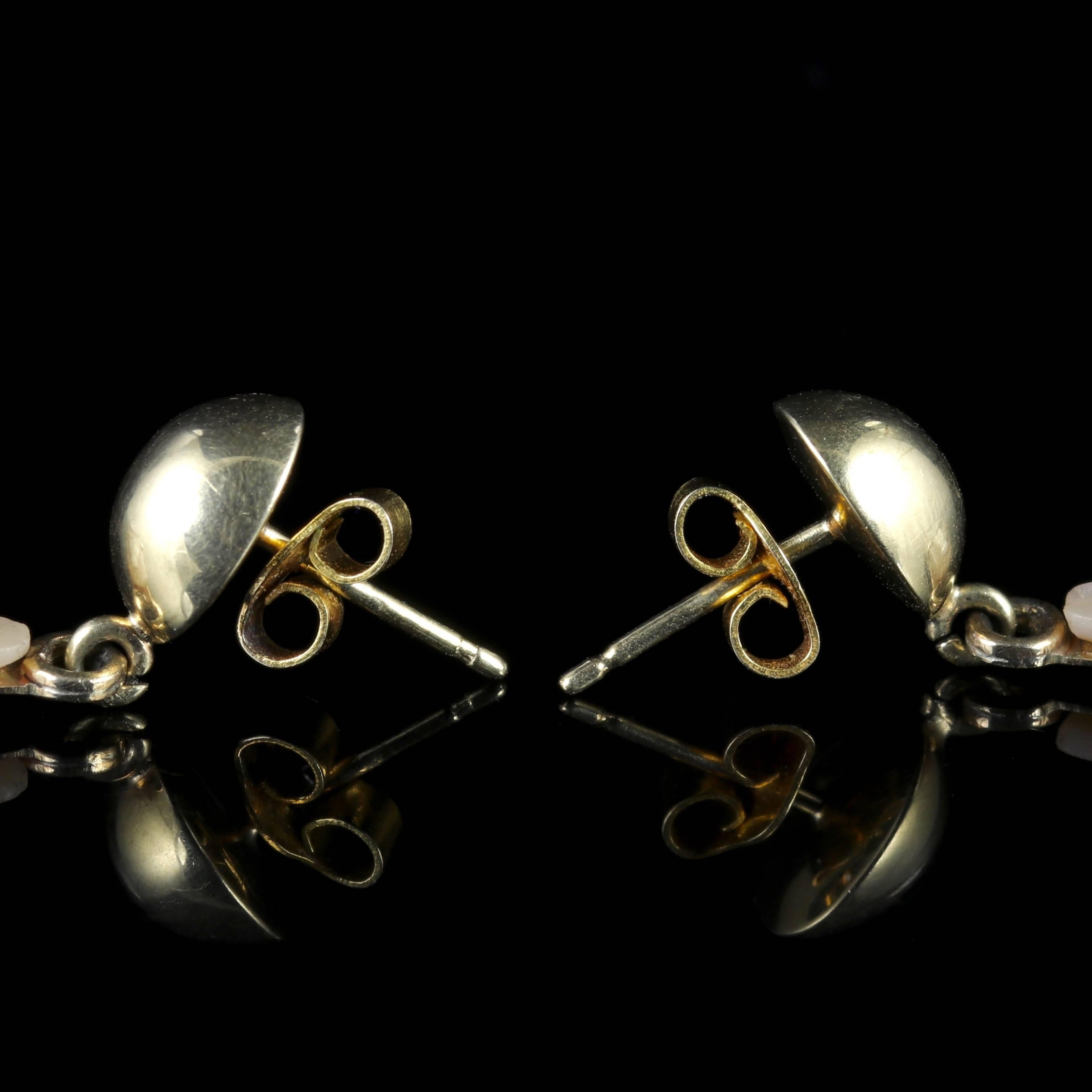 Antique Victorian Cameo Gold Earrings, circa 1900 2