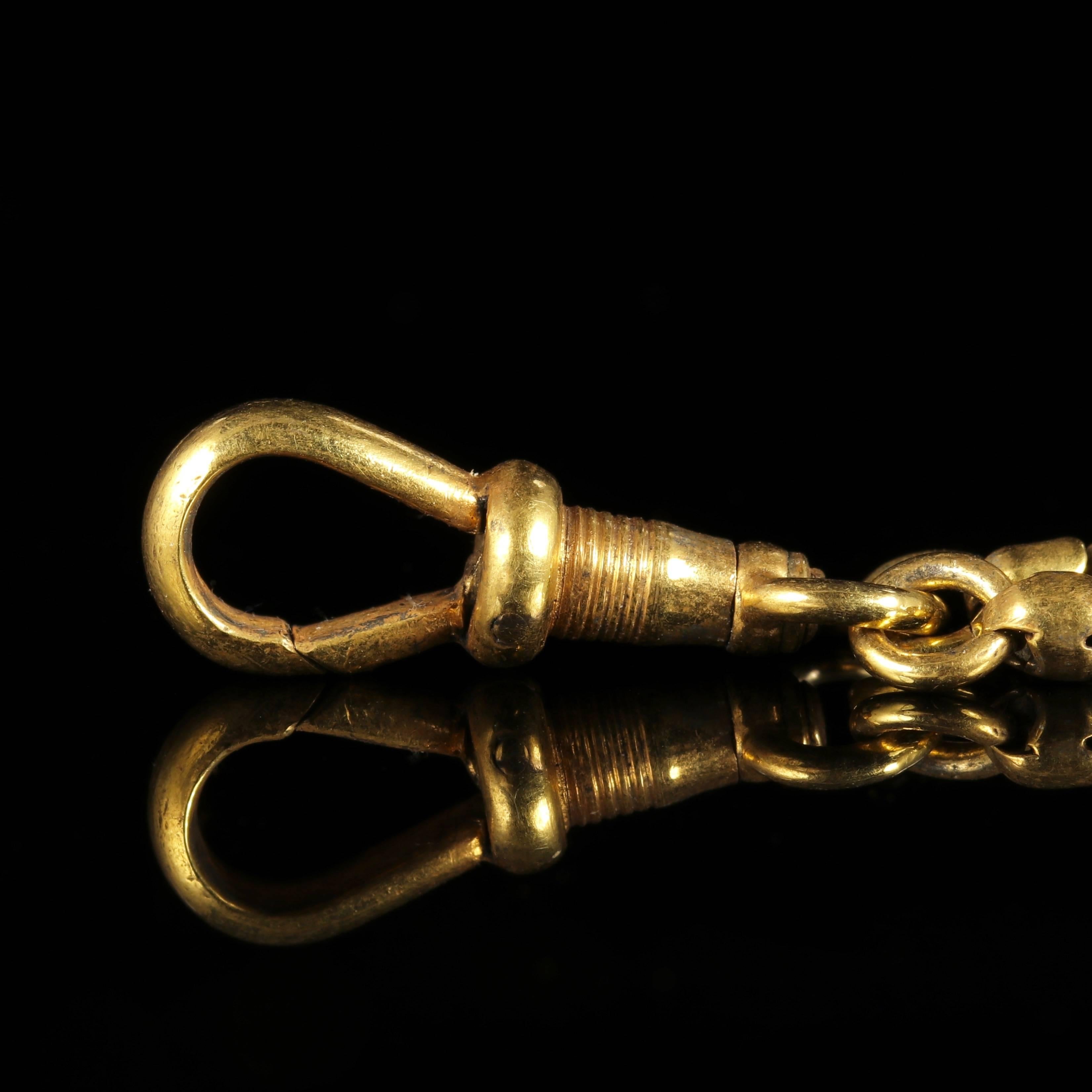 Antique Long Fancy Guard Chain 18 Carat Gold Silver, circa 1900 1
