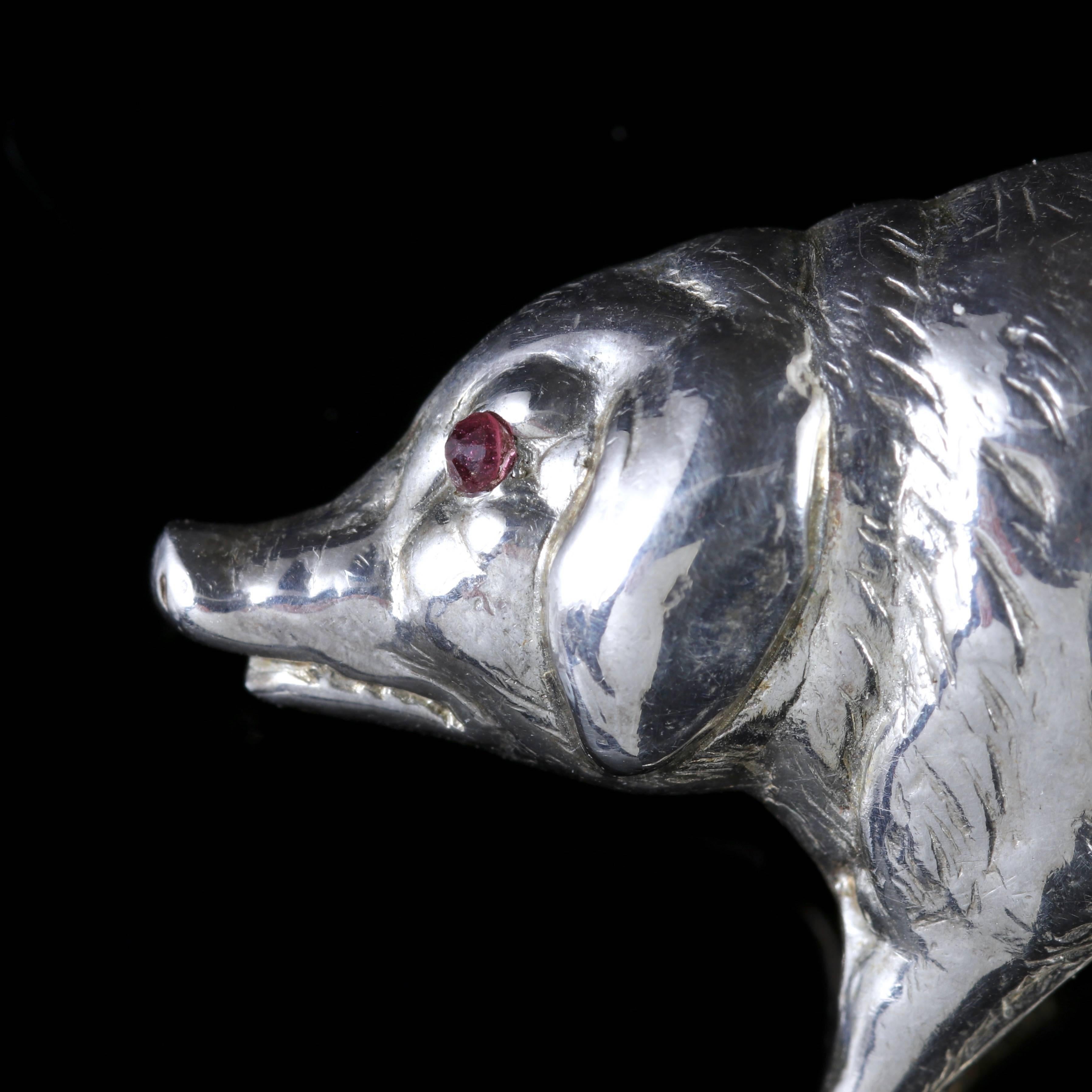 This fabulous Sterling Silver antique pig brooch is all original, Circa 1900.

This beautiful pig brooch is set in Sterling Silver with delightful red Ruby eyes. 

The Ruby is considered to be the most powerful gem of the universe, given as a gift,