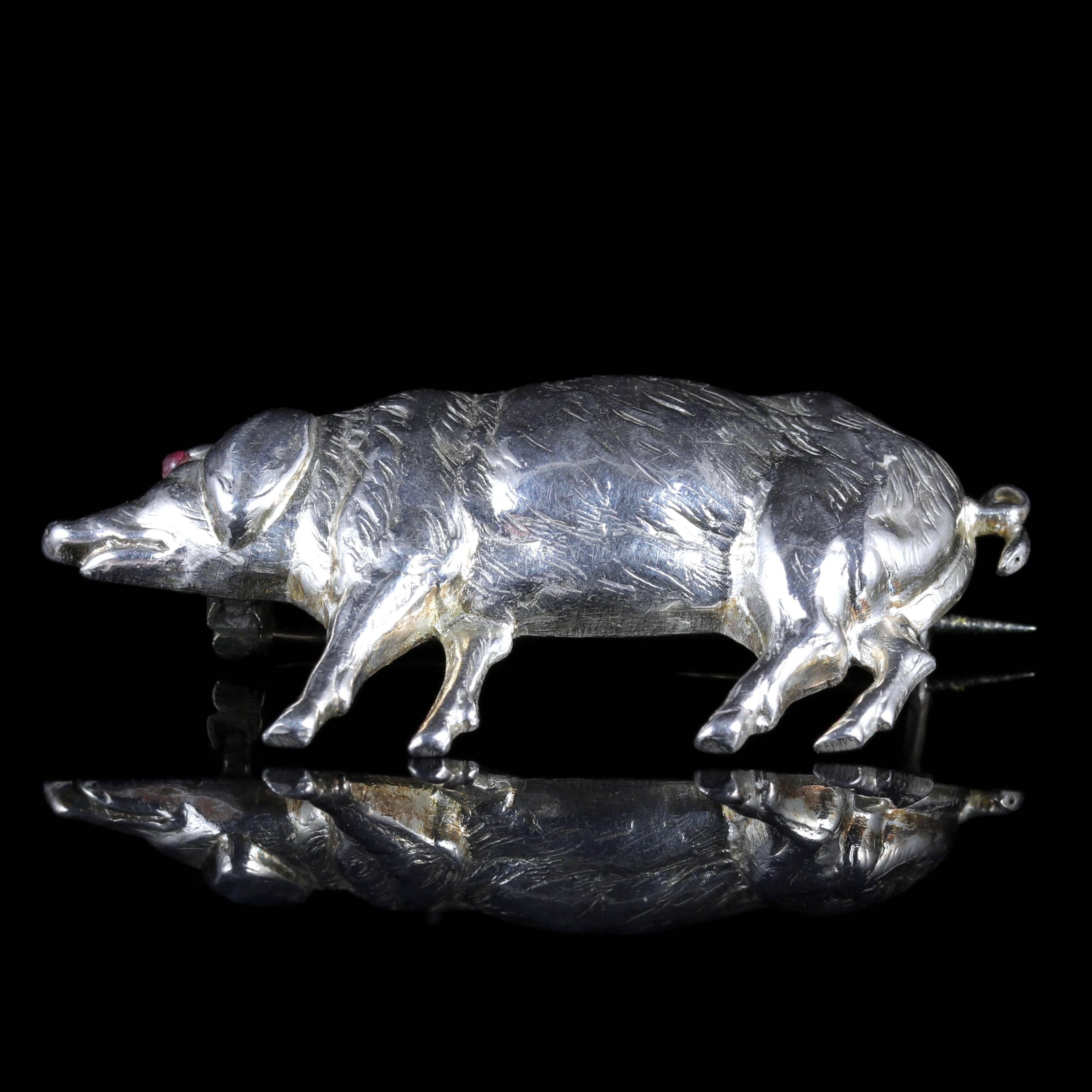 Antique Victorian Silver Pig Brooch, circa 1900 In Excellent Condition In Lancaster, Lancashire