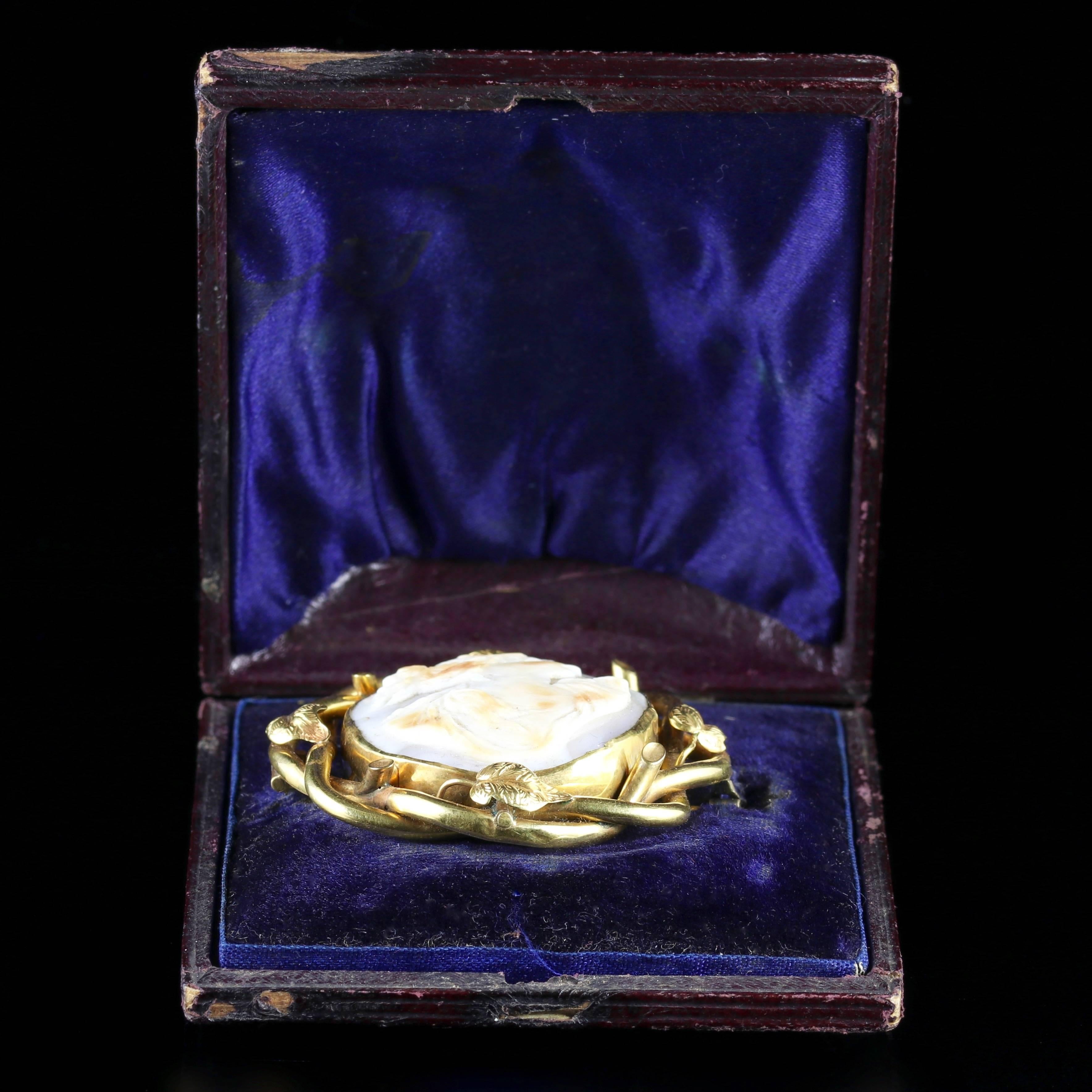 Antique Boxed Gold Cameo Swivel Brooch, circa 1900 For Sale 4