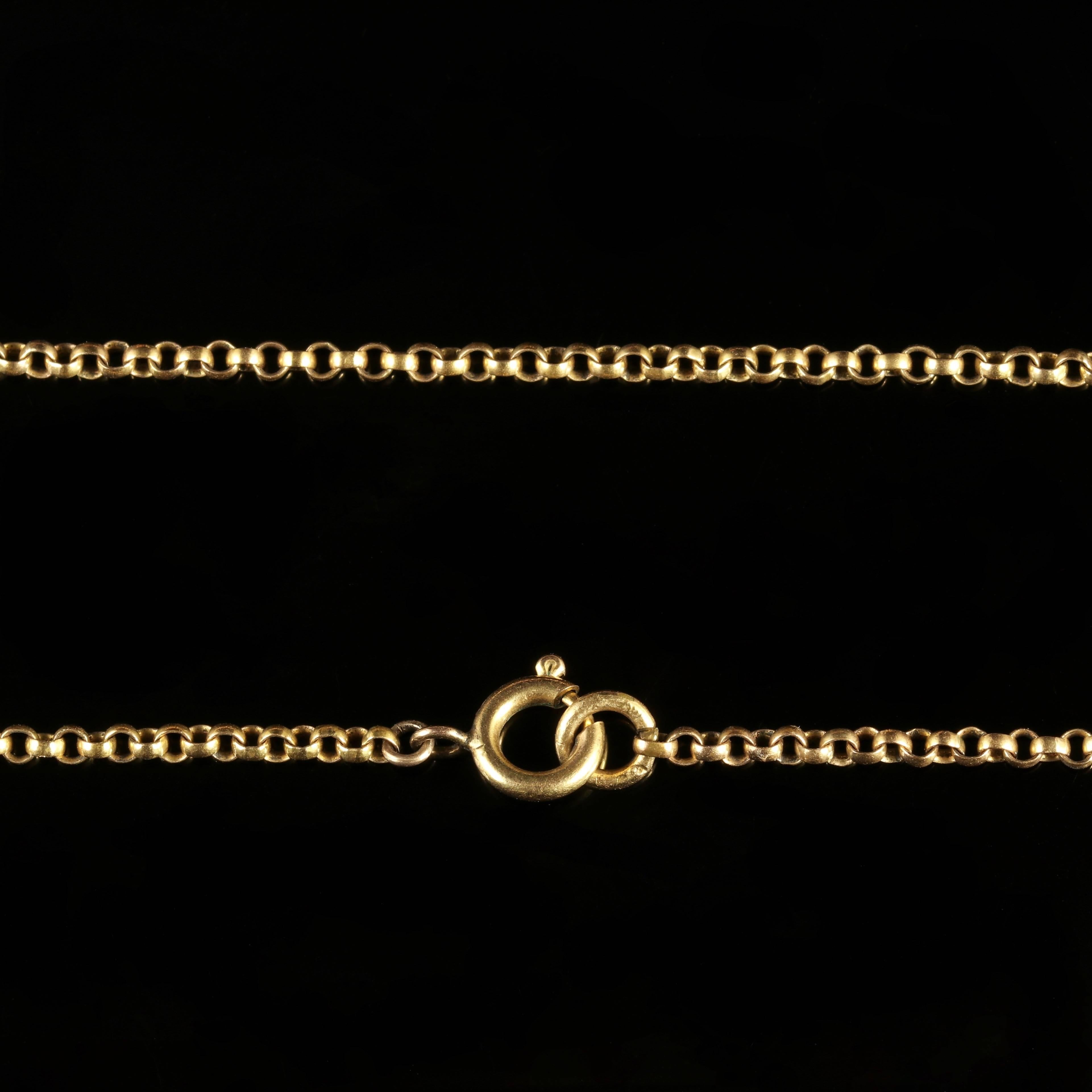 Antique Victorian Scottish Agate Necklace Long Gold Guard Chain, circa 1860 3