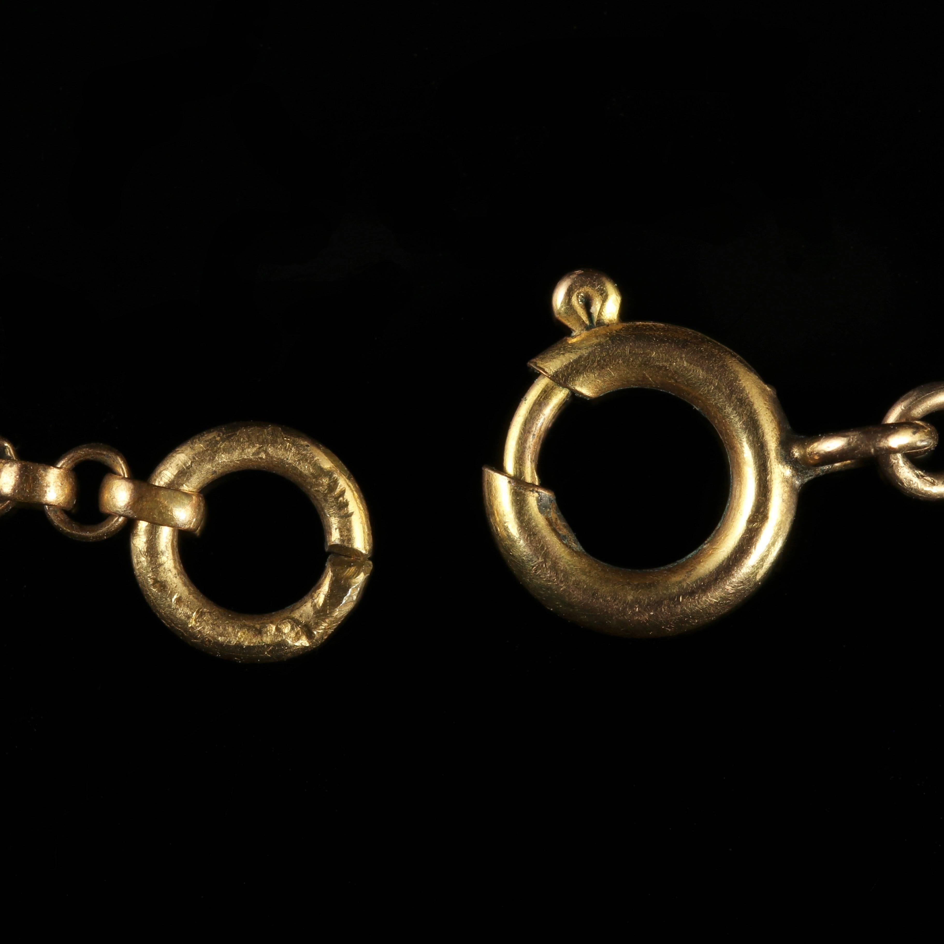 Antique Victorian Scottish Agate Necklace Long Gold Guard Chain, circa 1860 4