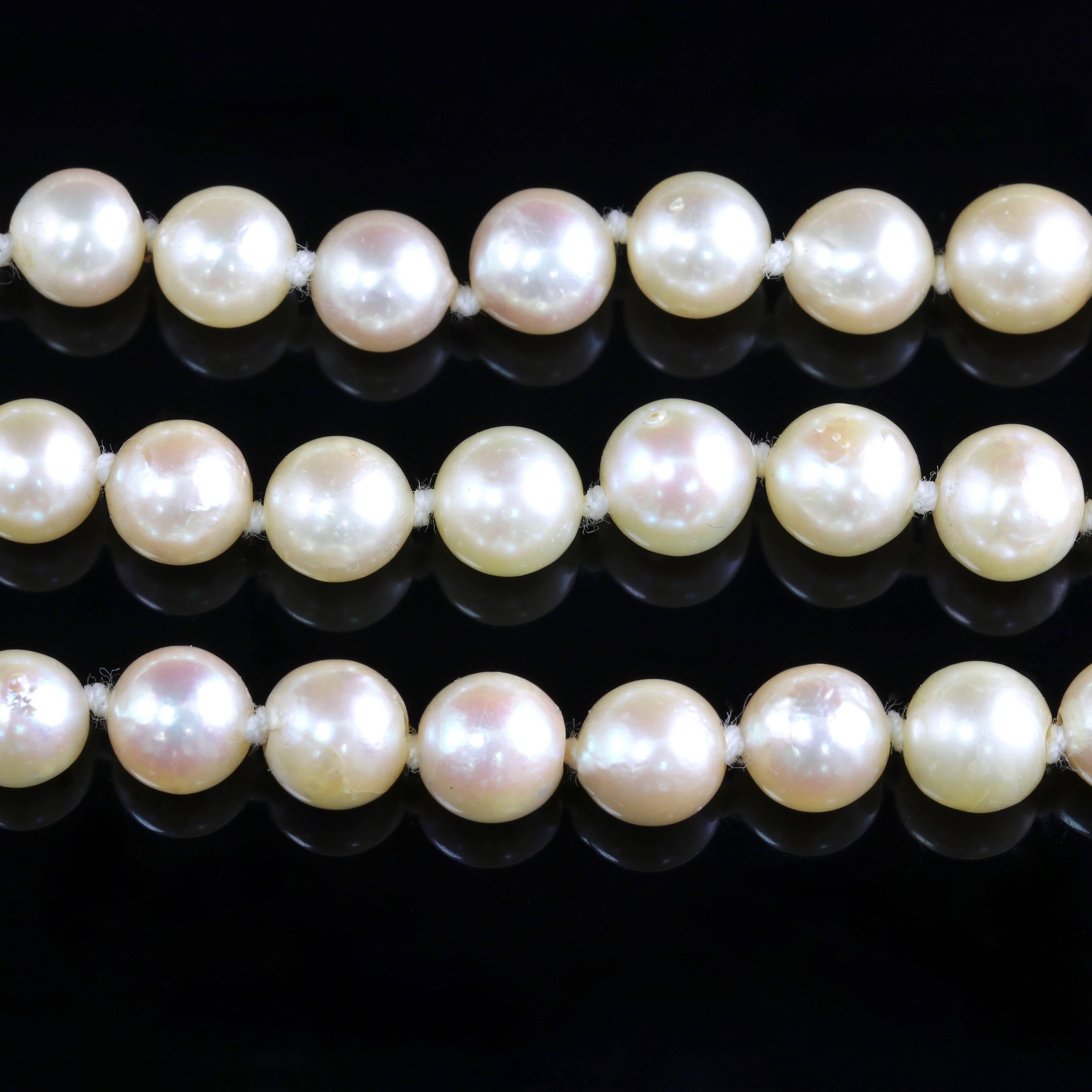To read more please click continue reading below-

This fabulous Edwardian triple row Pearl necklace is genuine Edwardian, Circa 1900.

The beautiful cultured Pearls are three graduated rows with a drop of 16 inches.

Pearls have a wonderful lustre