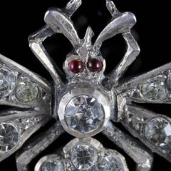 Antique Victorian Pink Paste Silver Insect Brooch, circa 1900