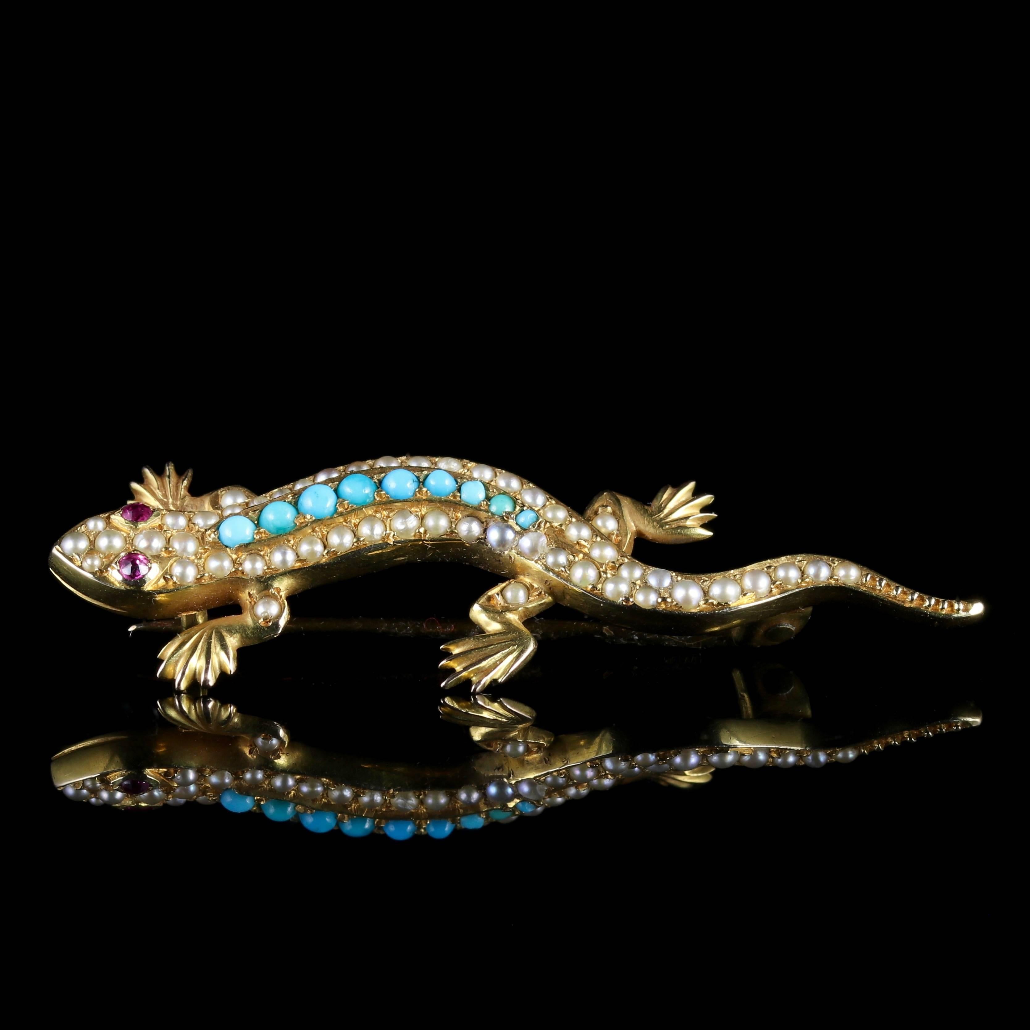 Antique Victorian Turquoise Pearl Lizard Brooch 15 Carat Gold 2