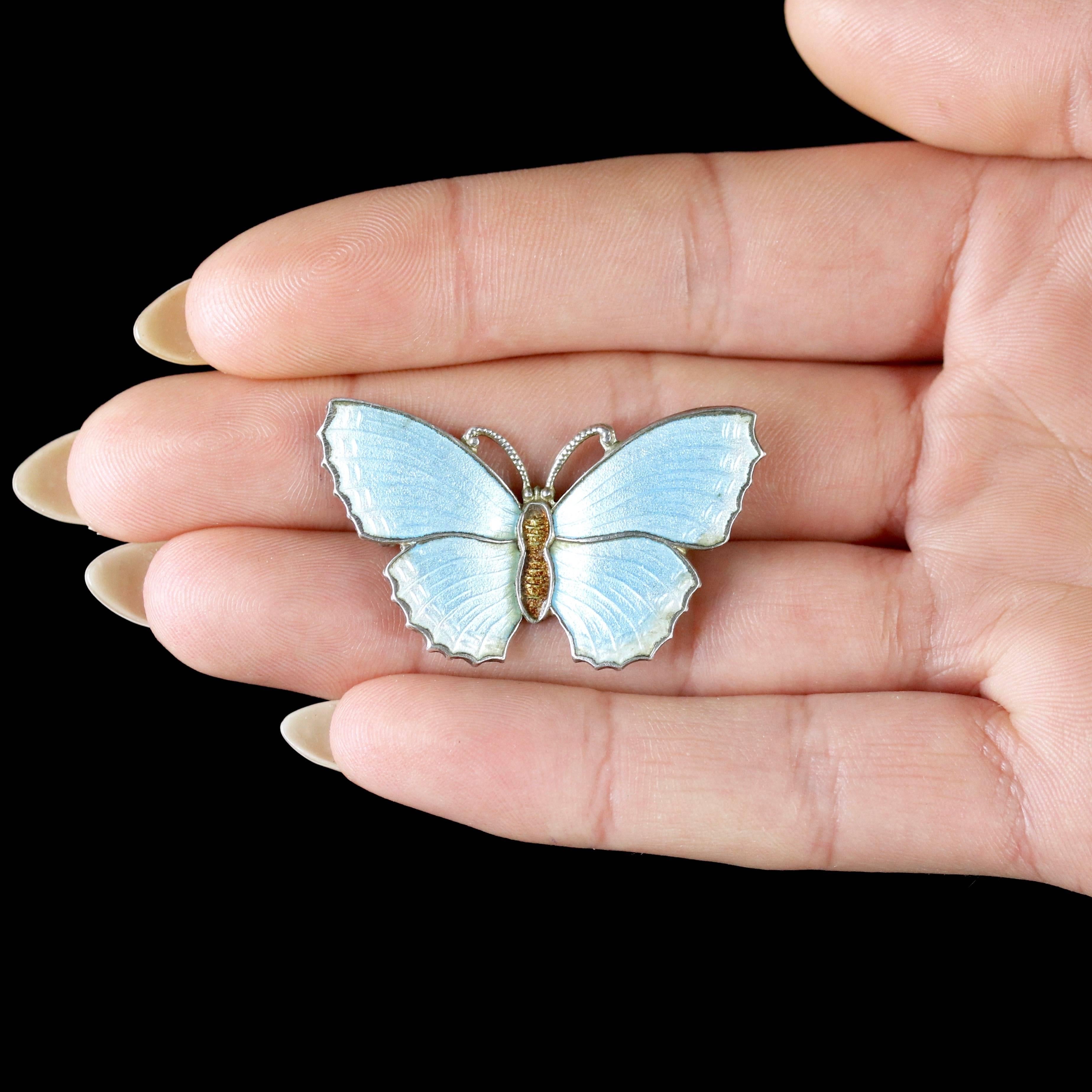 Antique Victorian Enamel Butterfly Brooch Silver Duck Egg Blue 5