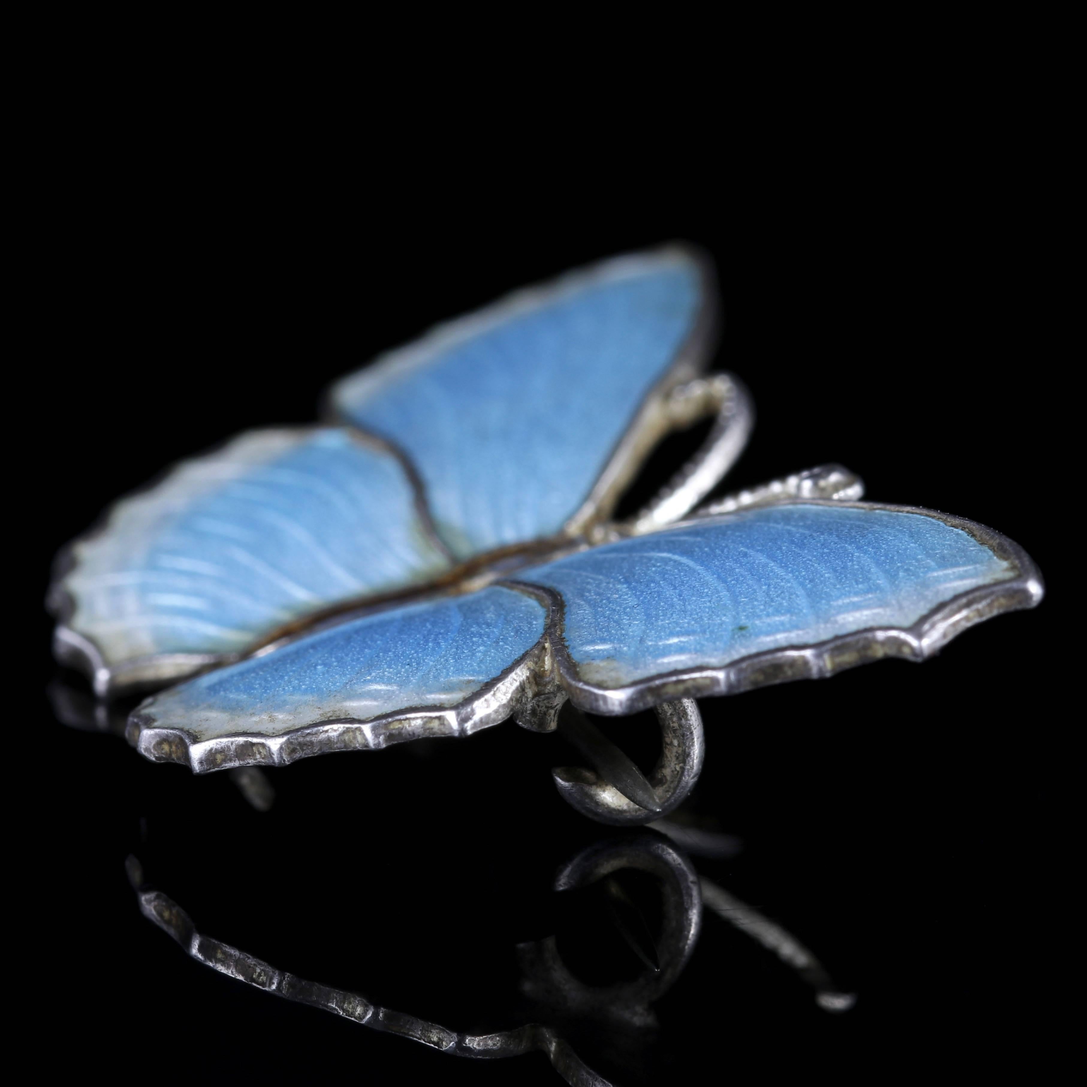 Antique Victorian Enamel Butterfly Brooch Silver Duck Egg Blue 2
