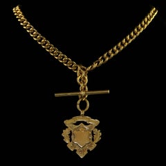 Antique Victorian 18 Carat Gold Silver Albert Chain with Medallion Dated 1902