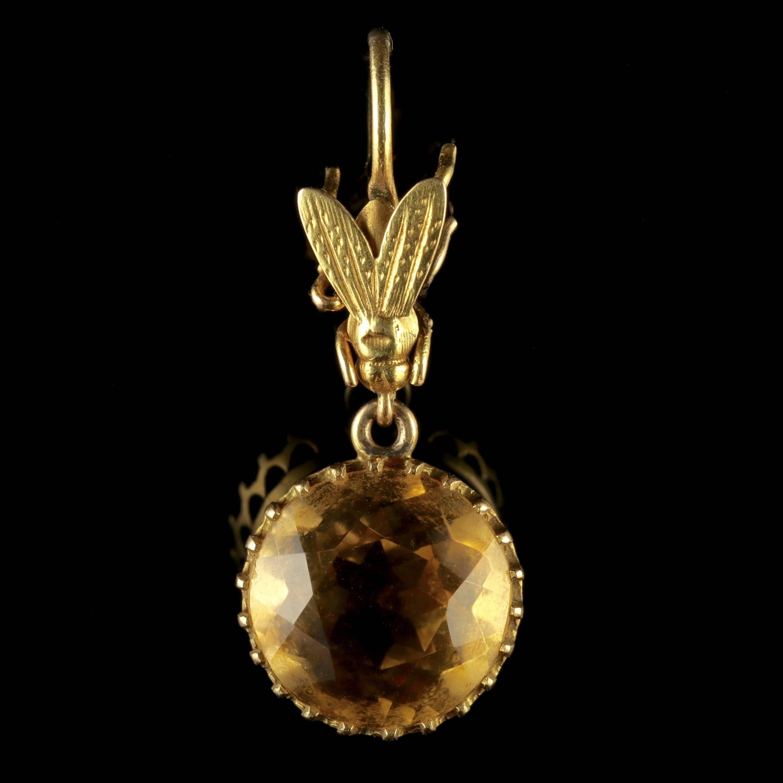 To read more please click continue reading below-

These fabulous antique 9ct Gold Citrine earrings are genuine Victorian Circa 1890.

The wonderful earrings boast beautiful honey coloured Citrine’s which are accompanied by a fabulous little bee.
