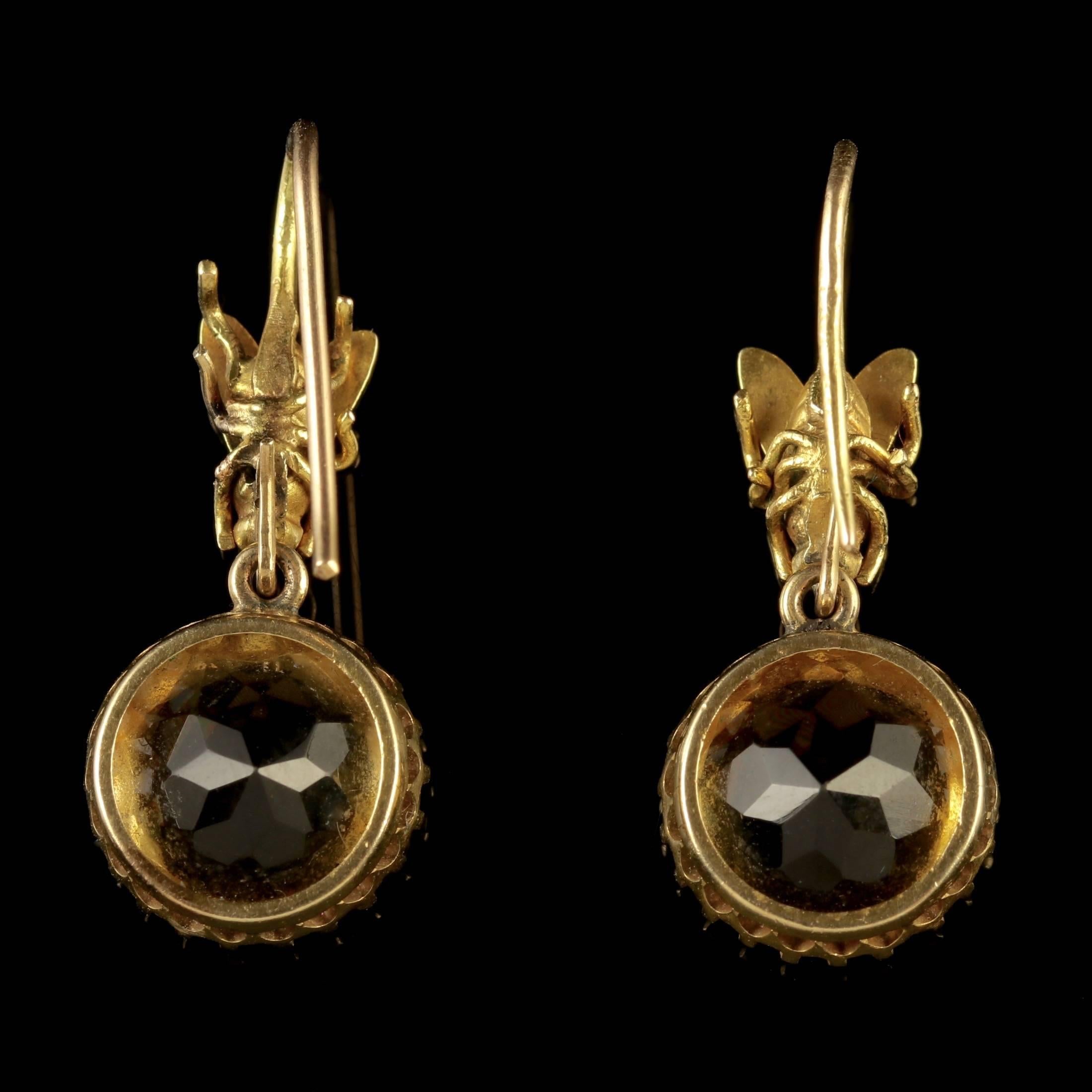 Antique Victorian 9 Carat Gold Citrine Bee Earrings, circa 1890 In Excellent Condition In Lancaster, Lancashire