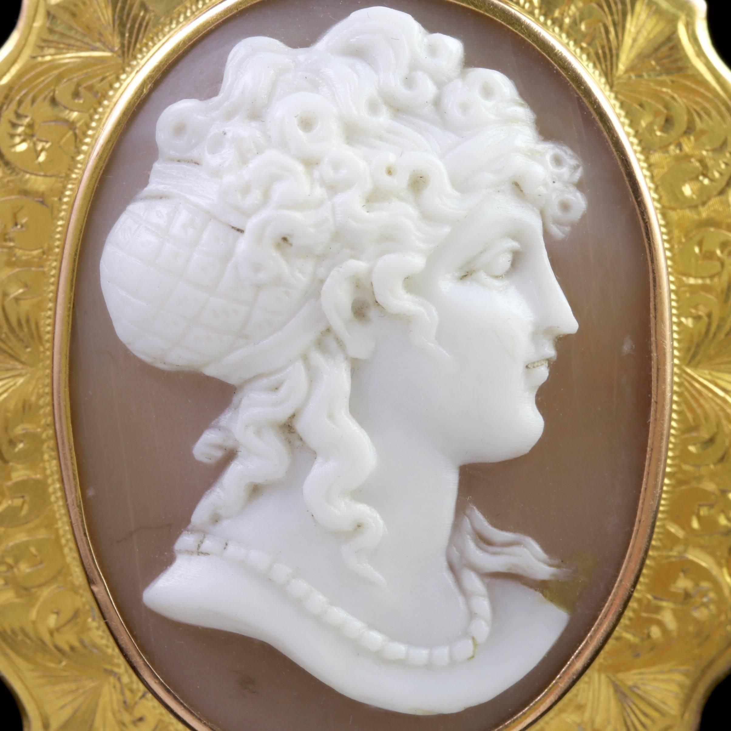 To read more please click continue reading below-

This beautiful antique 15ct Yellow Gold Cameo brooch is genuine Victorian Circa 1880. 

The central Cameo is expertly carved from a Bullmouth Shell depicting a lovely portrait of an elegant lady