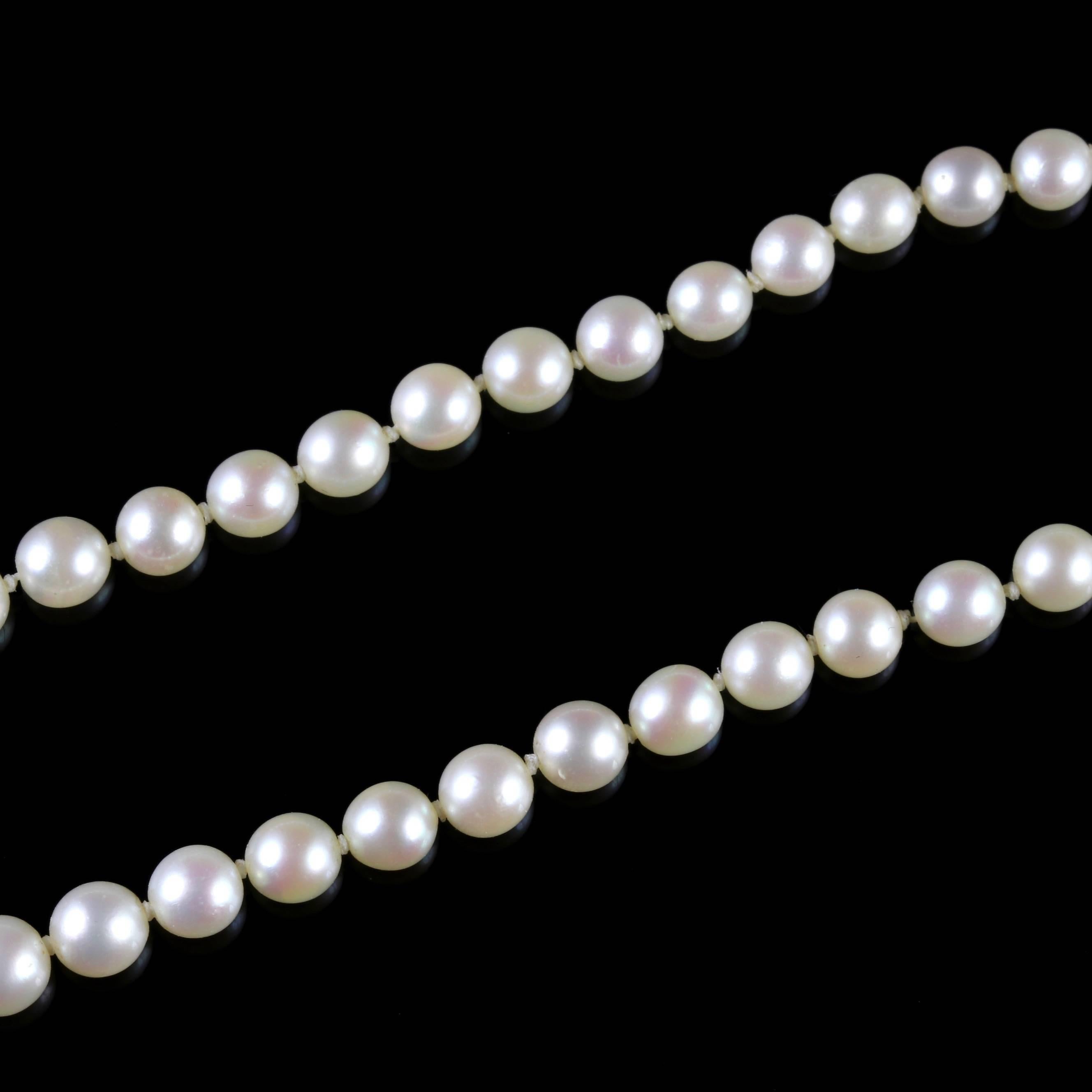 Antique Victorian Pearl Boxed Necklace, circa 1900 1