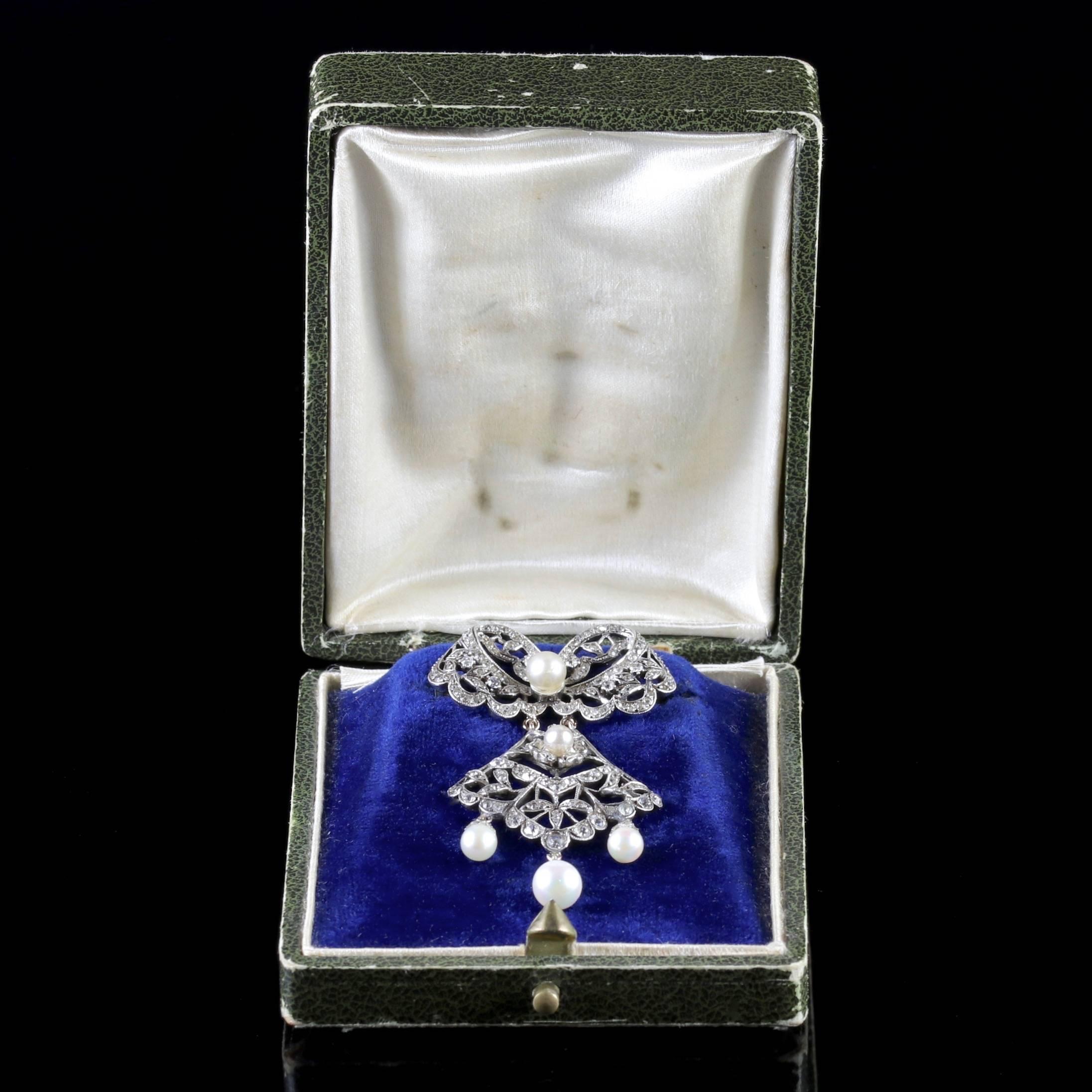 Antique French Victorian Boxed Belle Epoque Brooch, circa 1900 For Sale 4