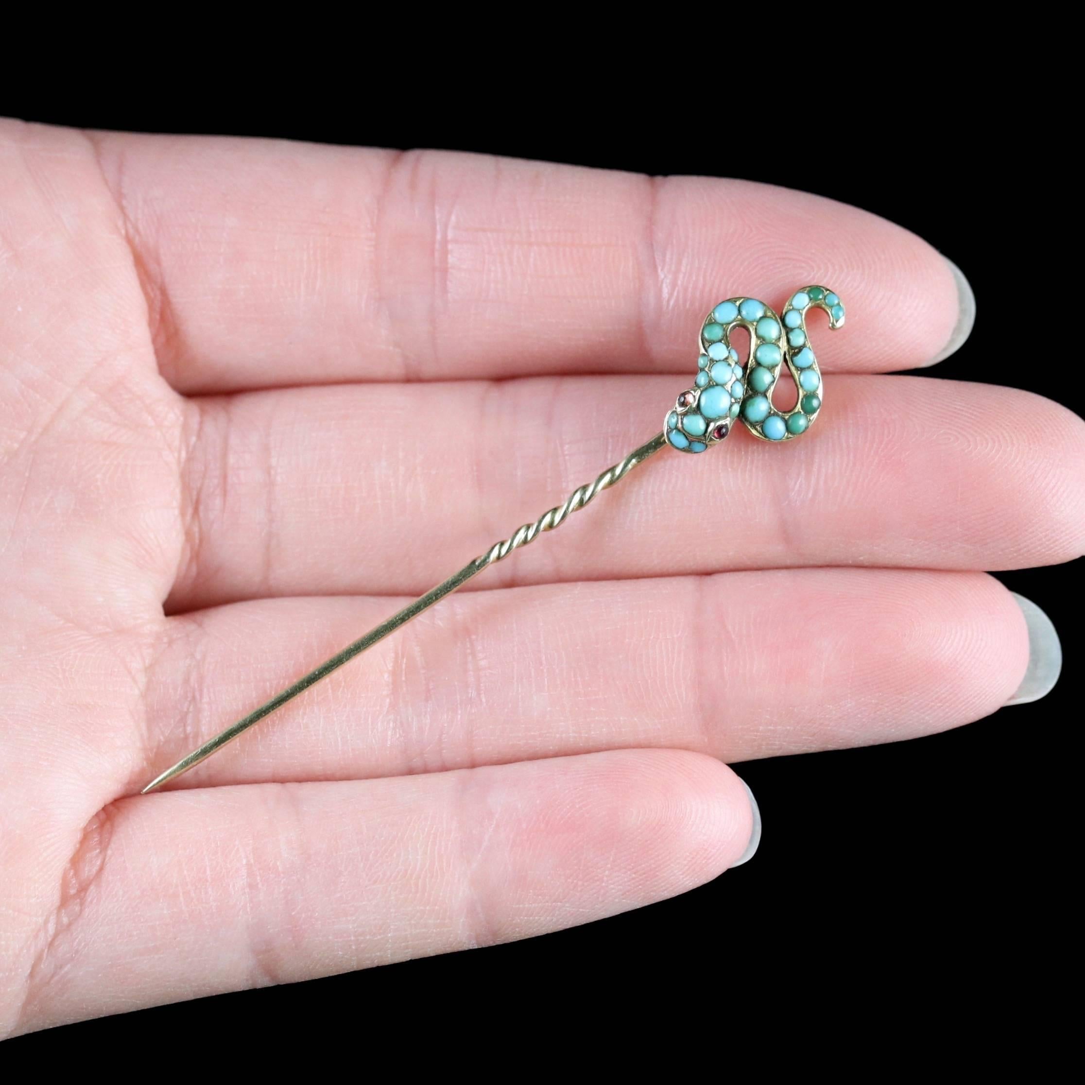 Antique Victorian 18 Carat Gold Turquoise Snake Pin, circa 1880 Boxed 5