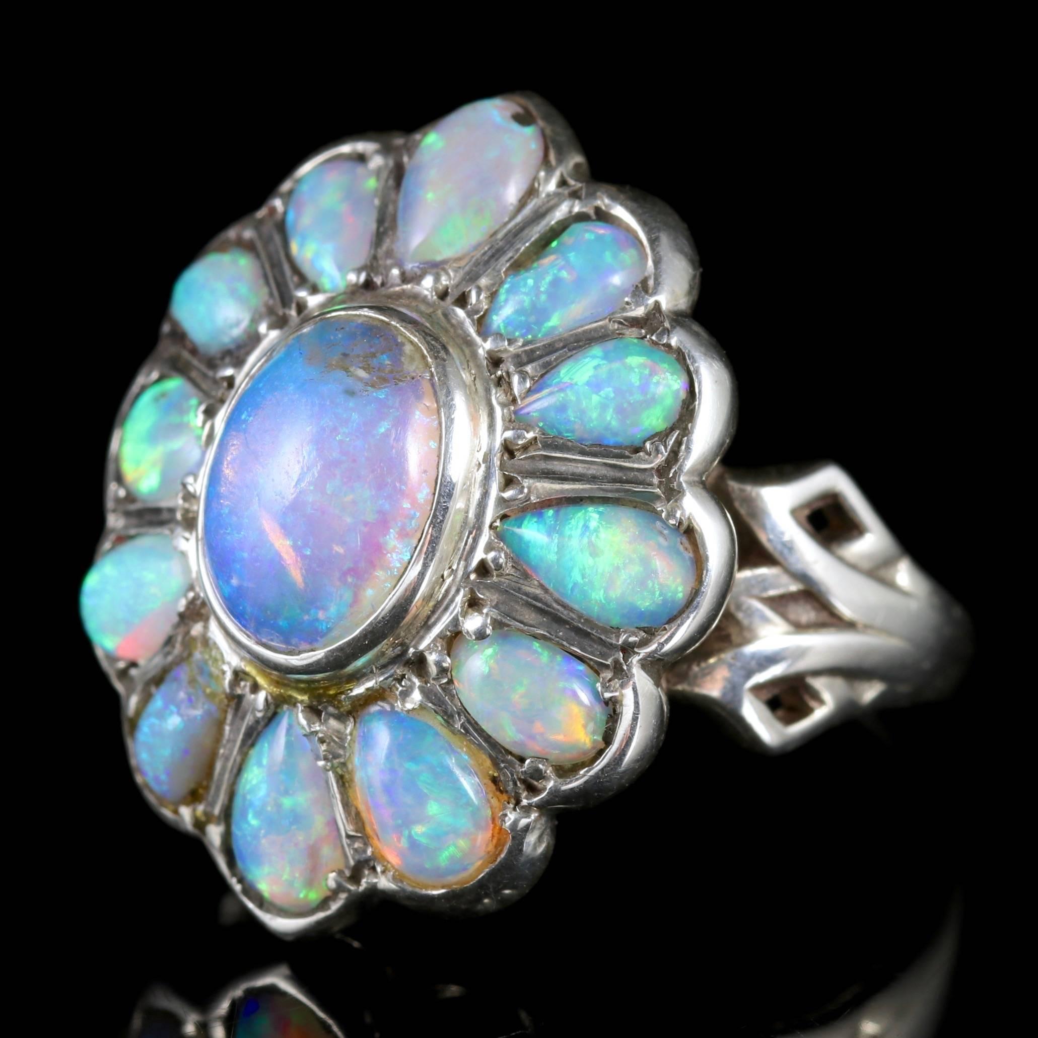 To read more please click continue reading below-

This fabulous large antique French Silver Opal Cluster ring is Circa 1900. 

The magnificent ring is set with a cluster of colourful Opals surrounding a larger natural Opal in the centre. 

The