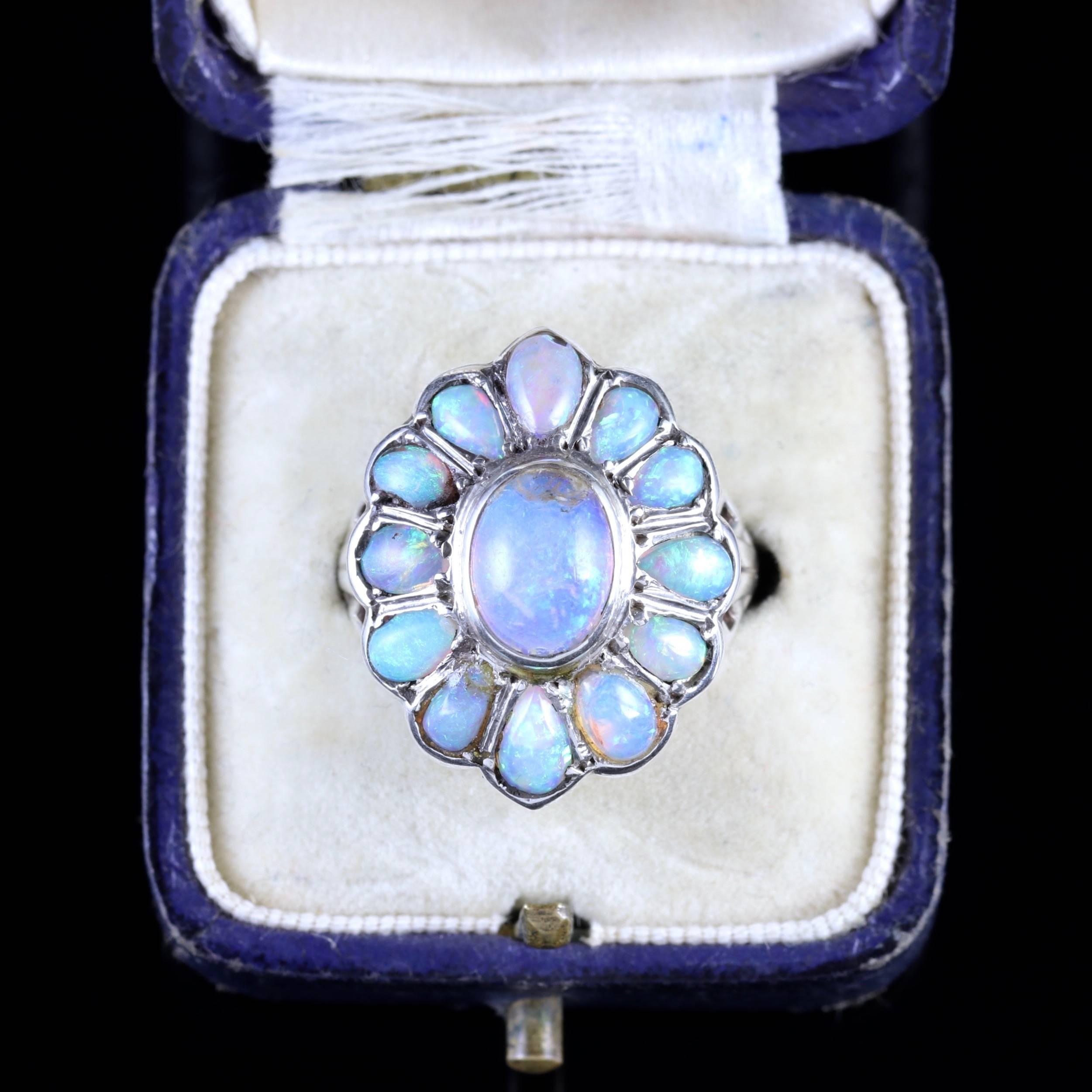 Antique French Victorian Opal Silver Cluster Ring, circa 1900 4
