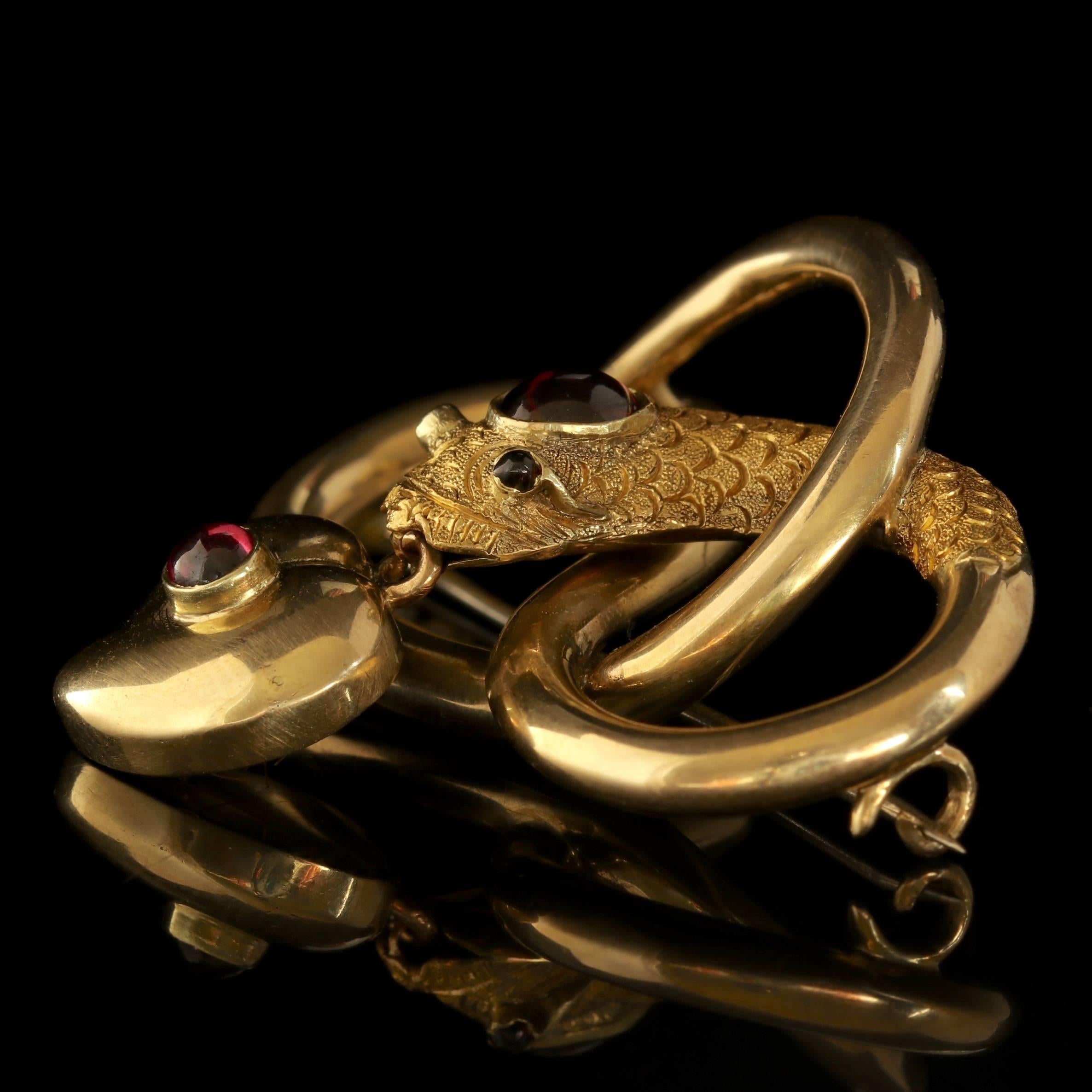 Antique Georgian 18 Carat Gold Garnet Snake Brooch Mourning Witches Heart 1