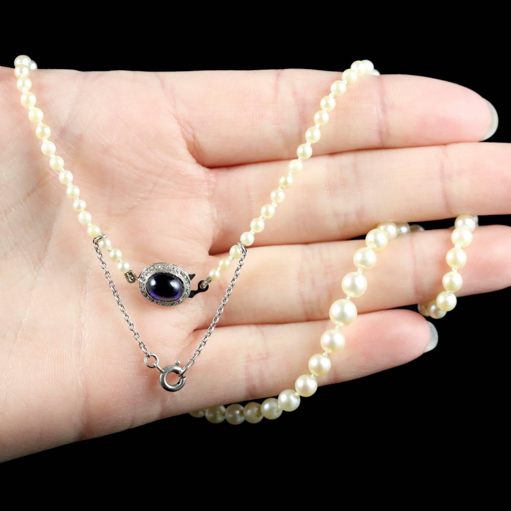 Antique Edwardian Pearl Necklace Sapphire Diamond Clasp in Original Box 3